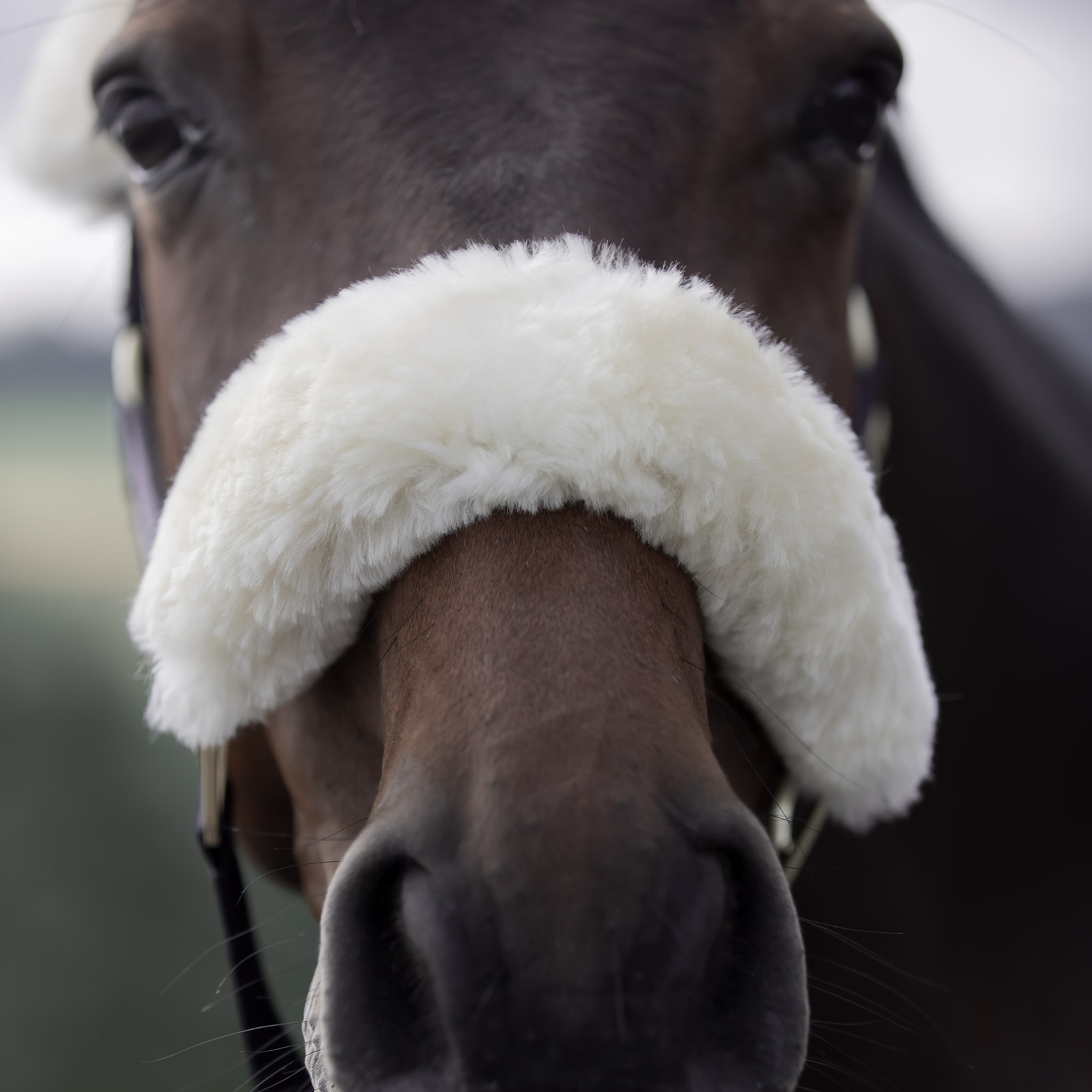 B Vertigo Laurier grime med lammeskind