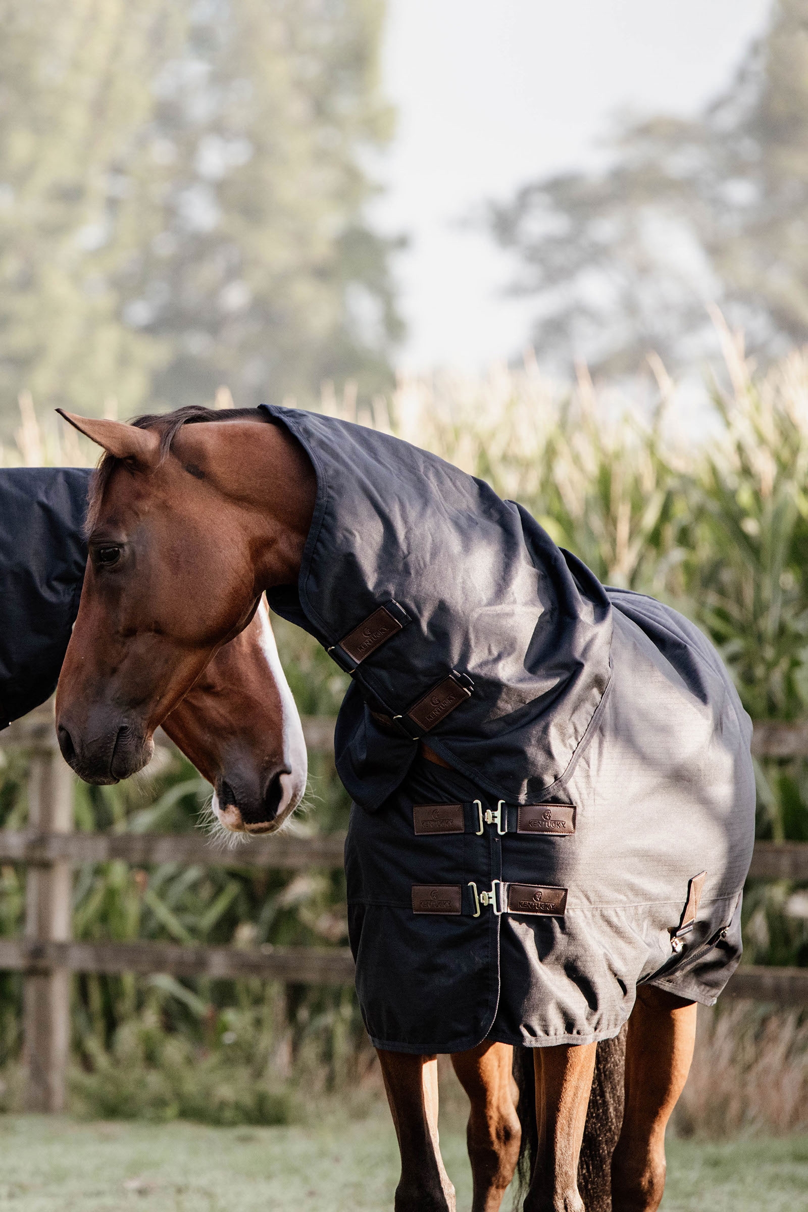 Kentucky Horsewear All Weather Classic regndækken, 0 g