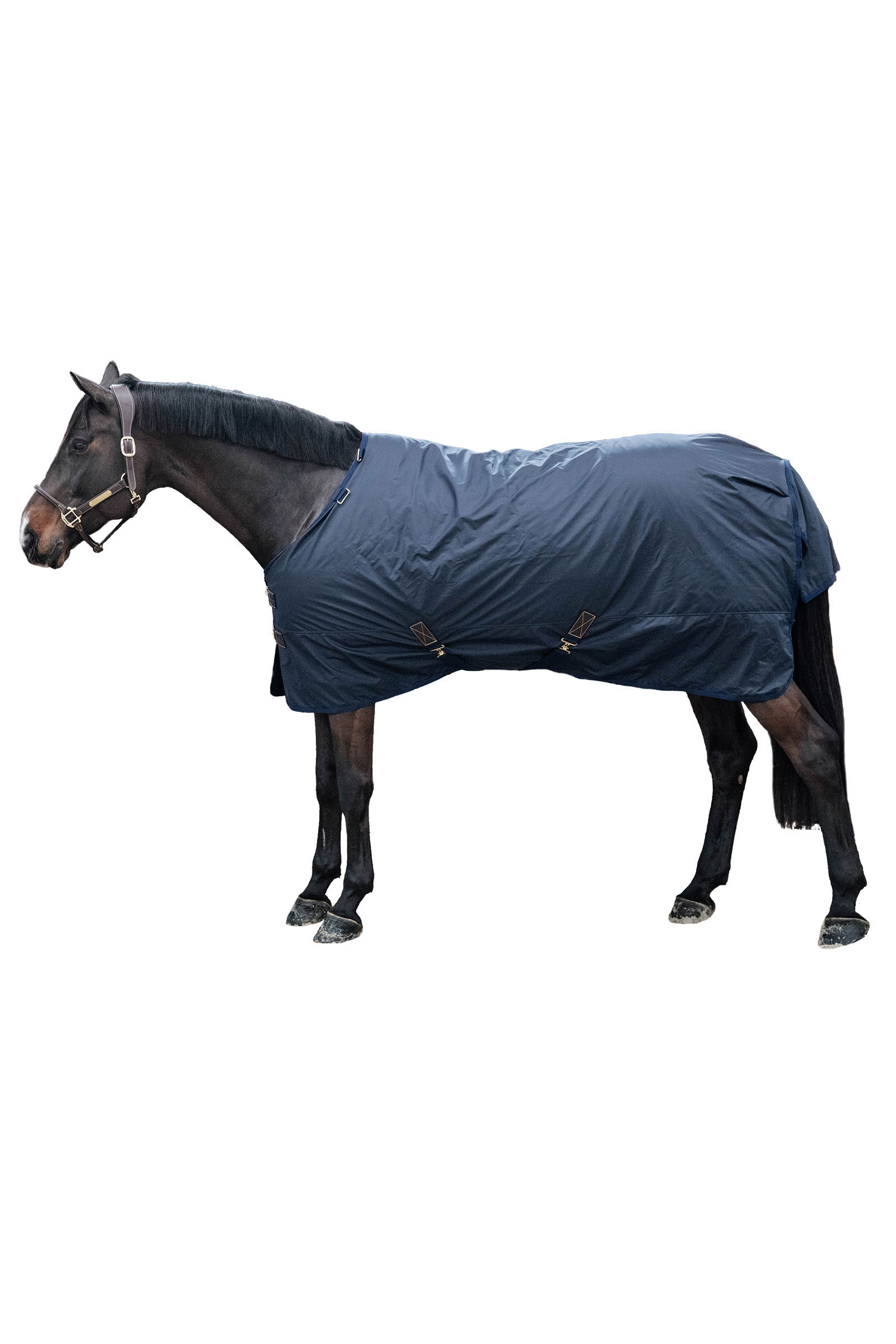 Kentucky Horsewear All Weather Hurricane Regndækken, 0 gr