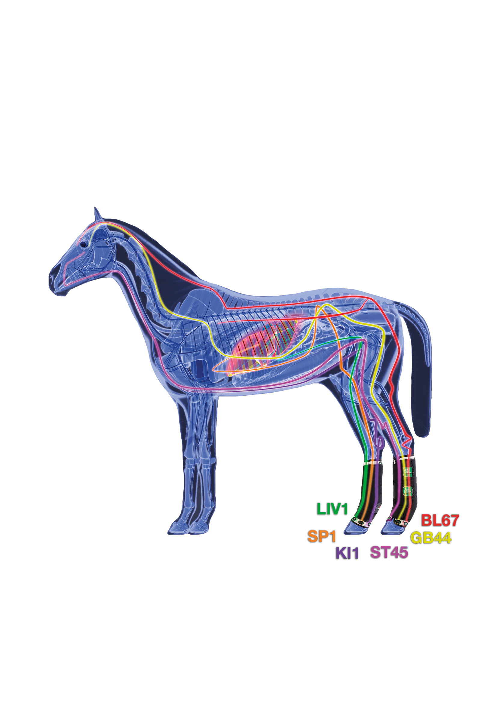 Zandona Therapeutic Support Boot Air gamacher, bagben