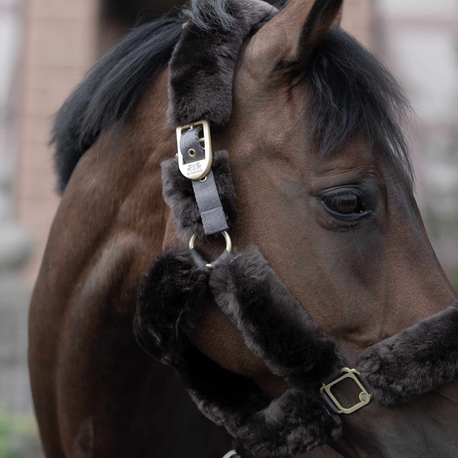 B Vertigo Tremblant grime med lammeskind