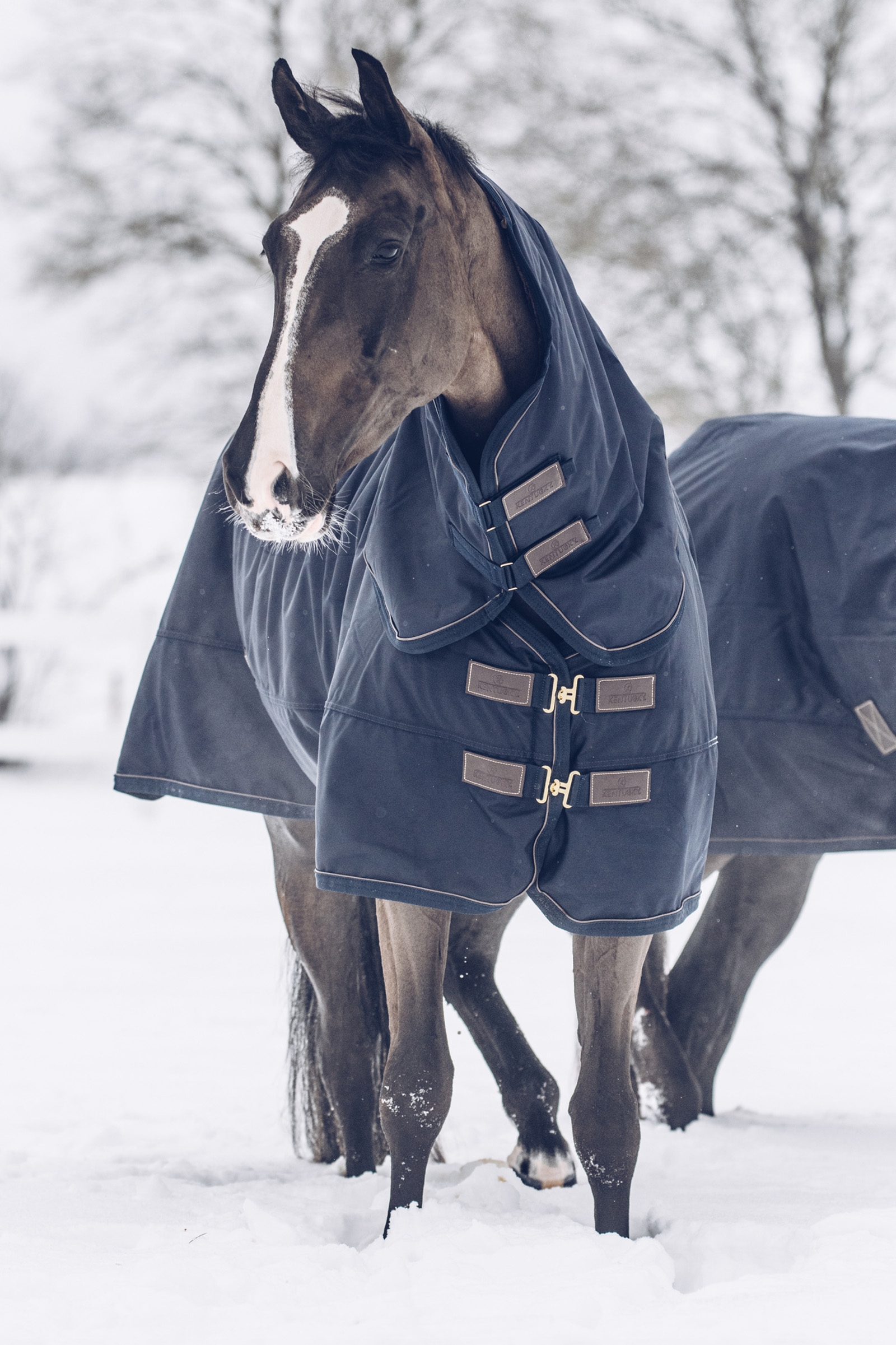 Kentucky Horsewear All Weather Waterproof Classic vinterdækken, 300 gr