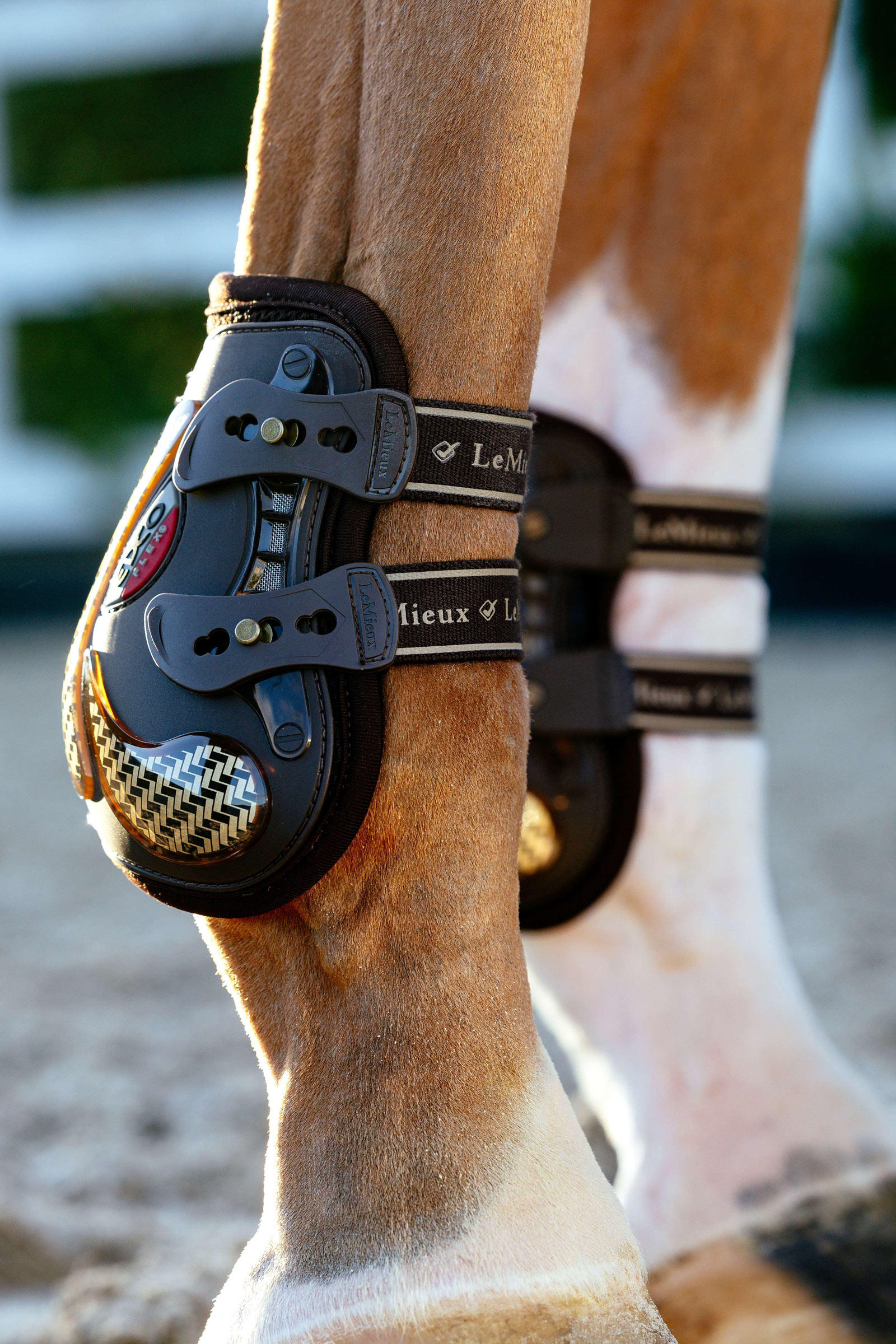 LeMieux EXO Flex ankelstøvler