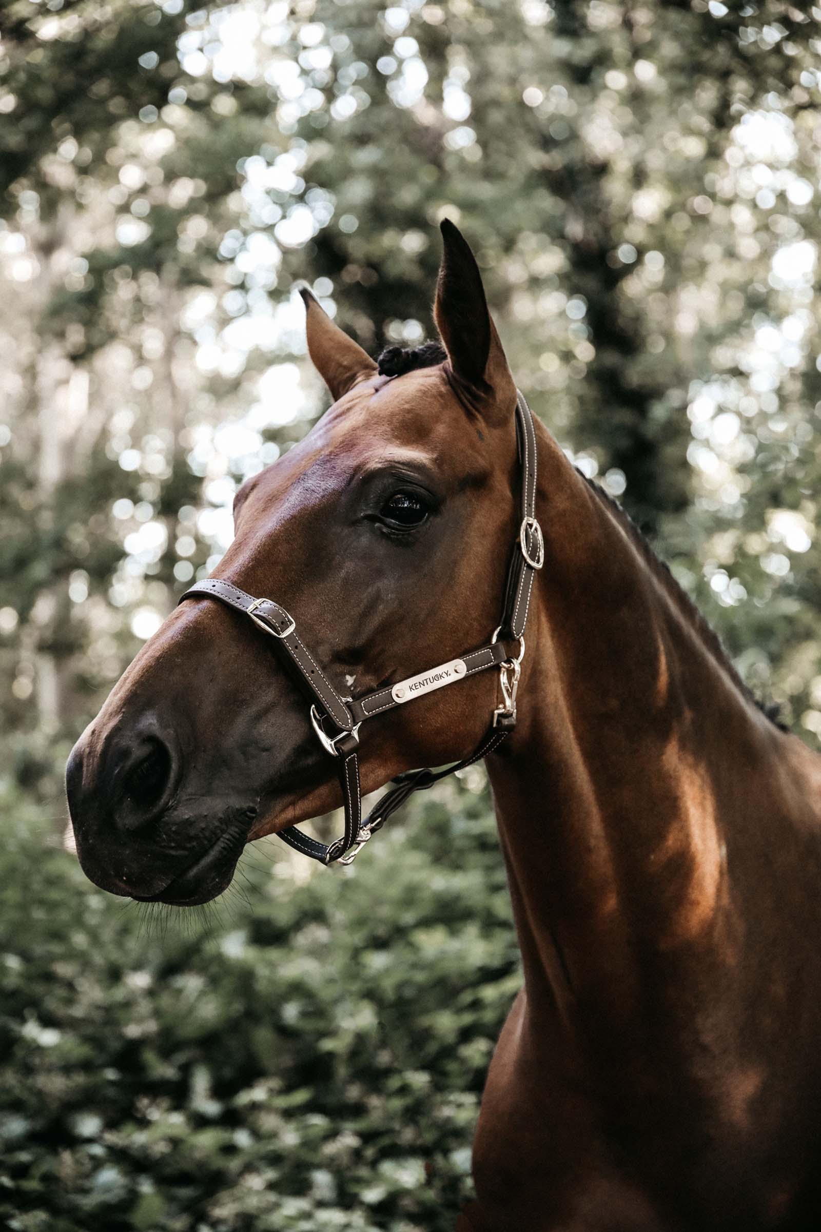 Kentucky Horsewear Flexible Lædergrime nakkestykket