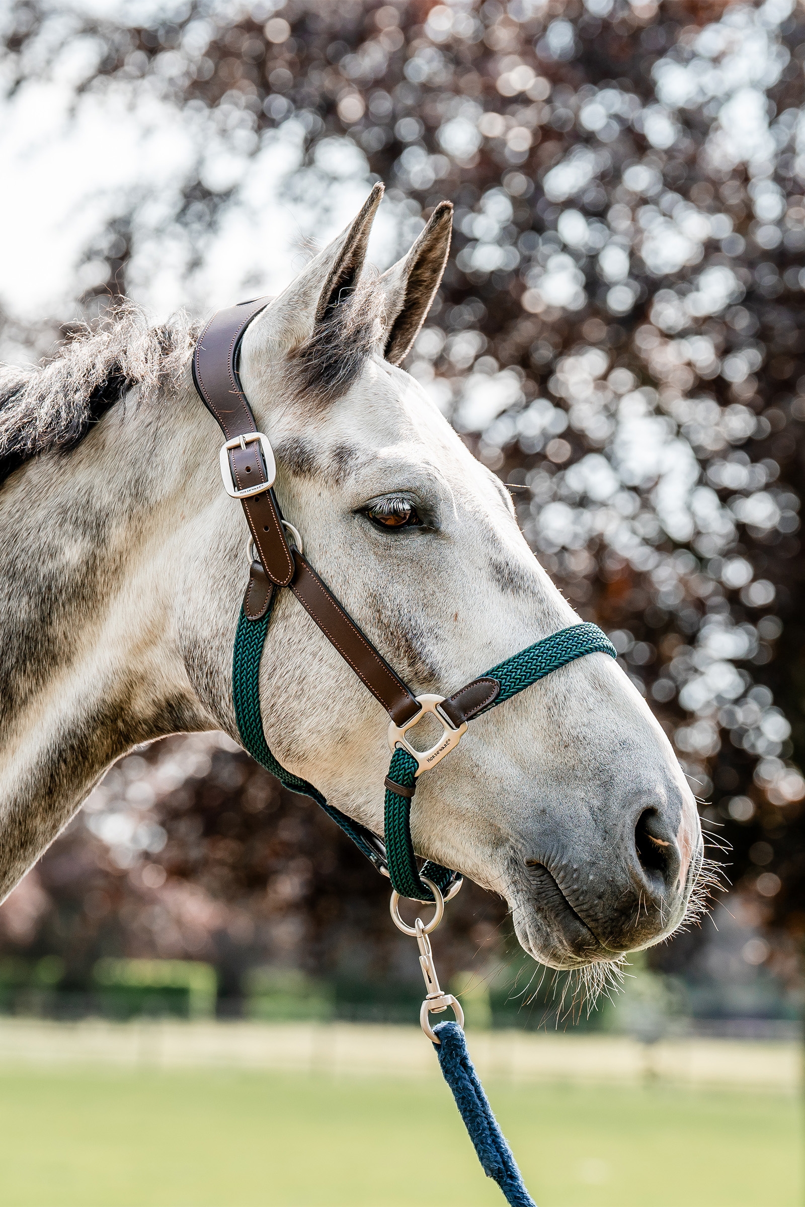 Horseware signatur flettet grime