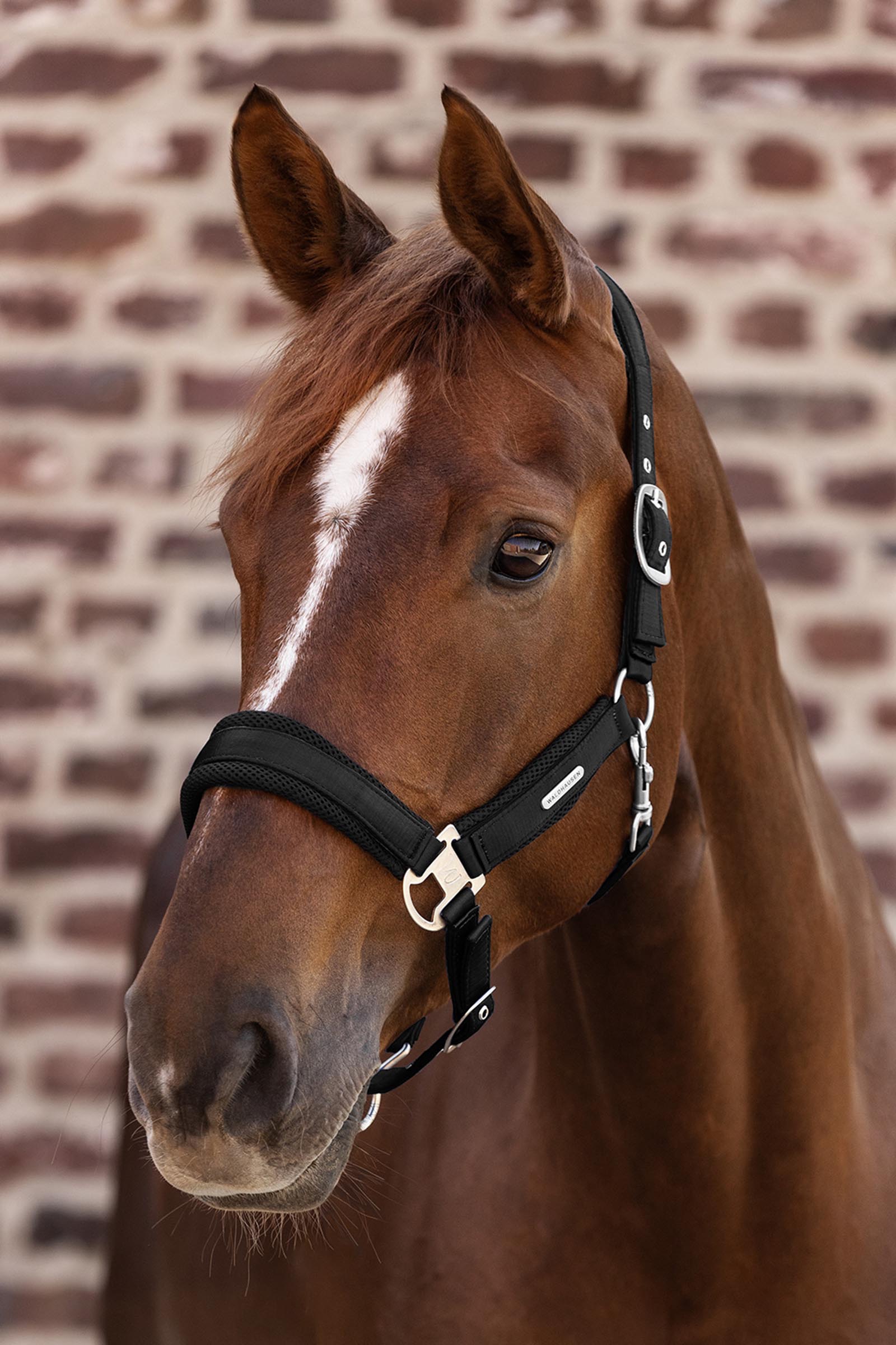 Waldhausen Breath Mesh Grime