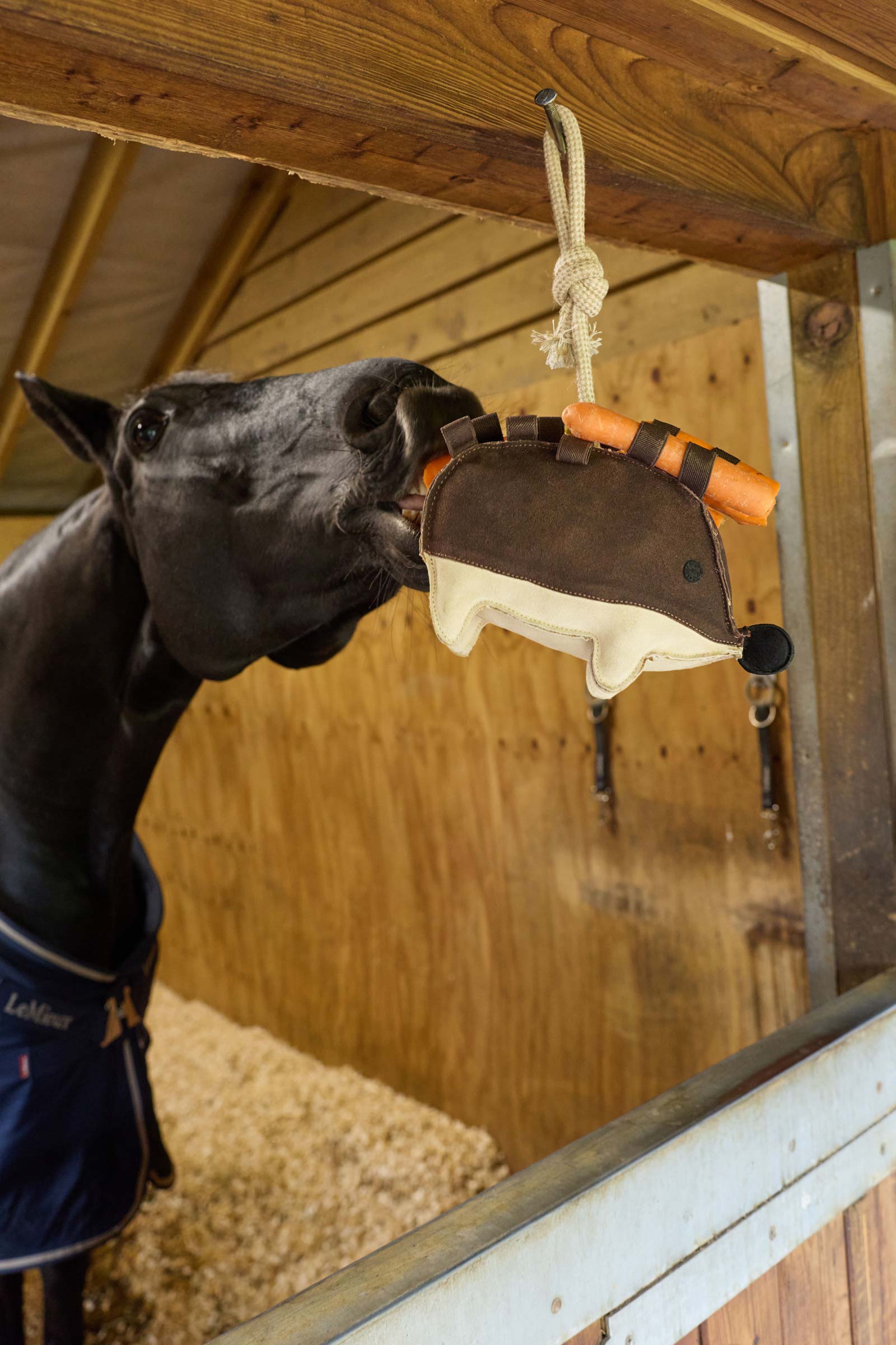 LeMieux Hedgehog Horse Toy