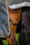 Horseware Amigo Bravo 12 Plus udedækken med aftagelig hals, 0g