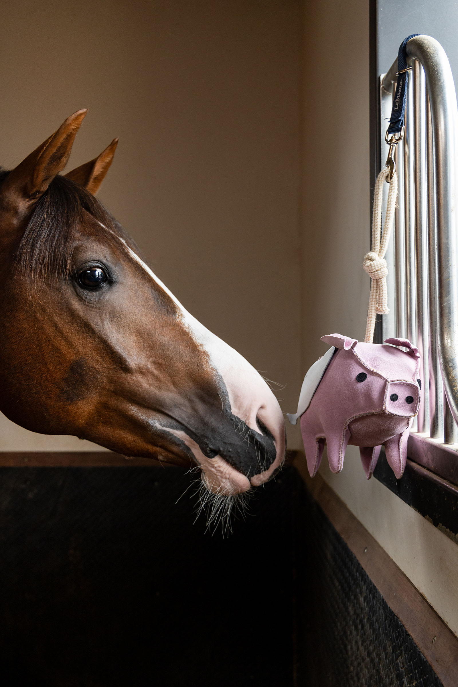 LeMieux hesteleget&oslash;j flyvende gris