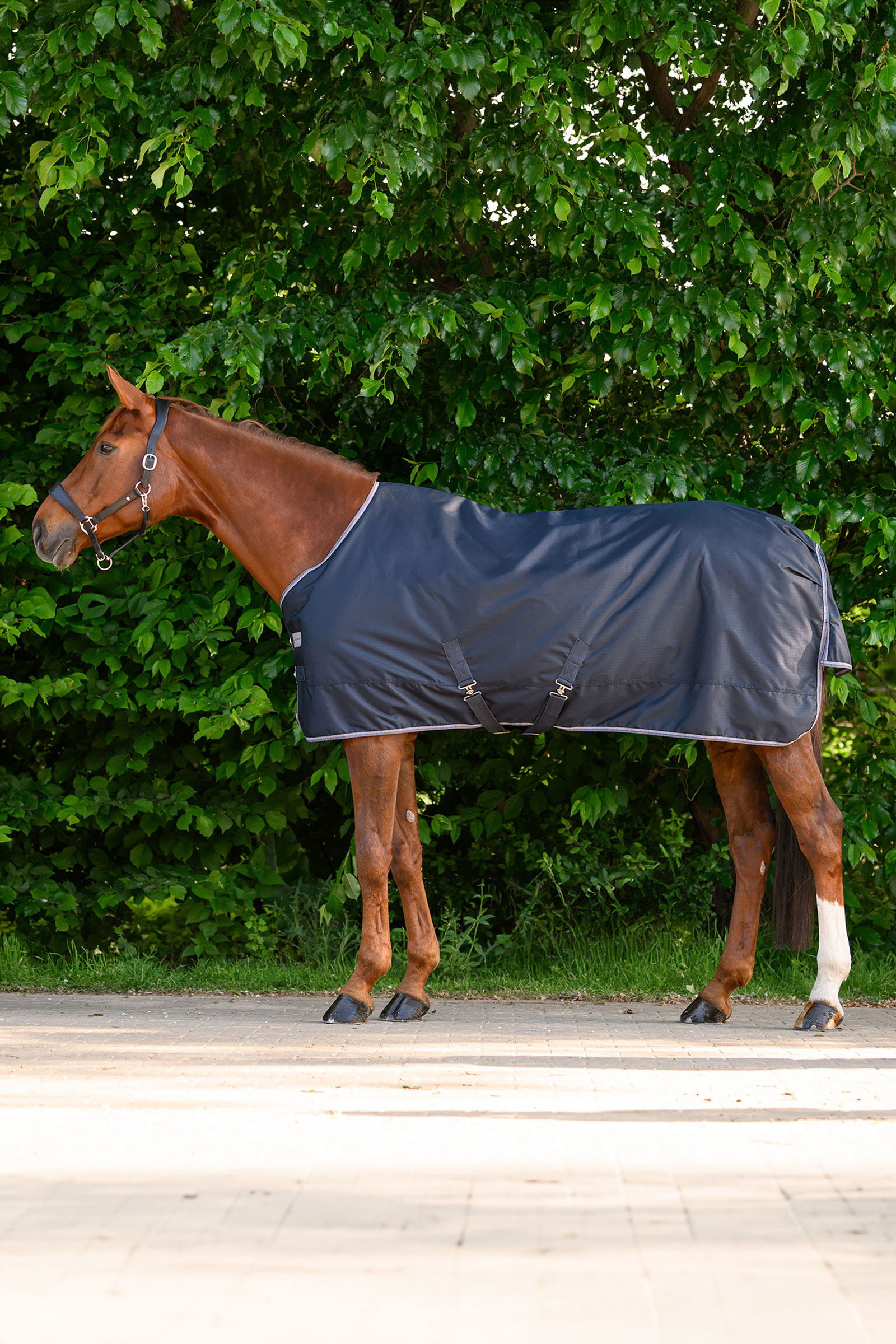 Waldhausen ECONOMIC let uded&aelig;kken