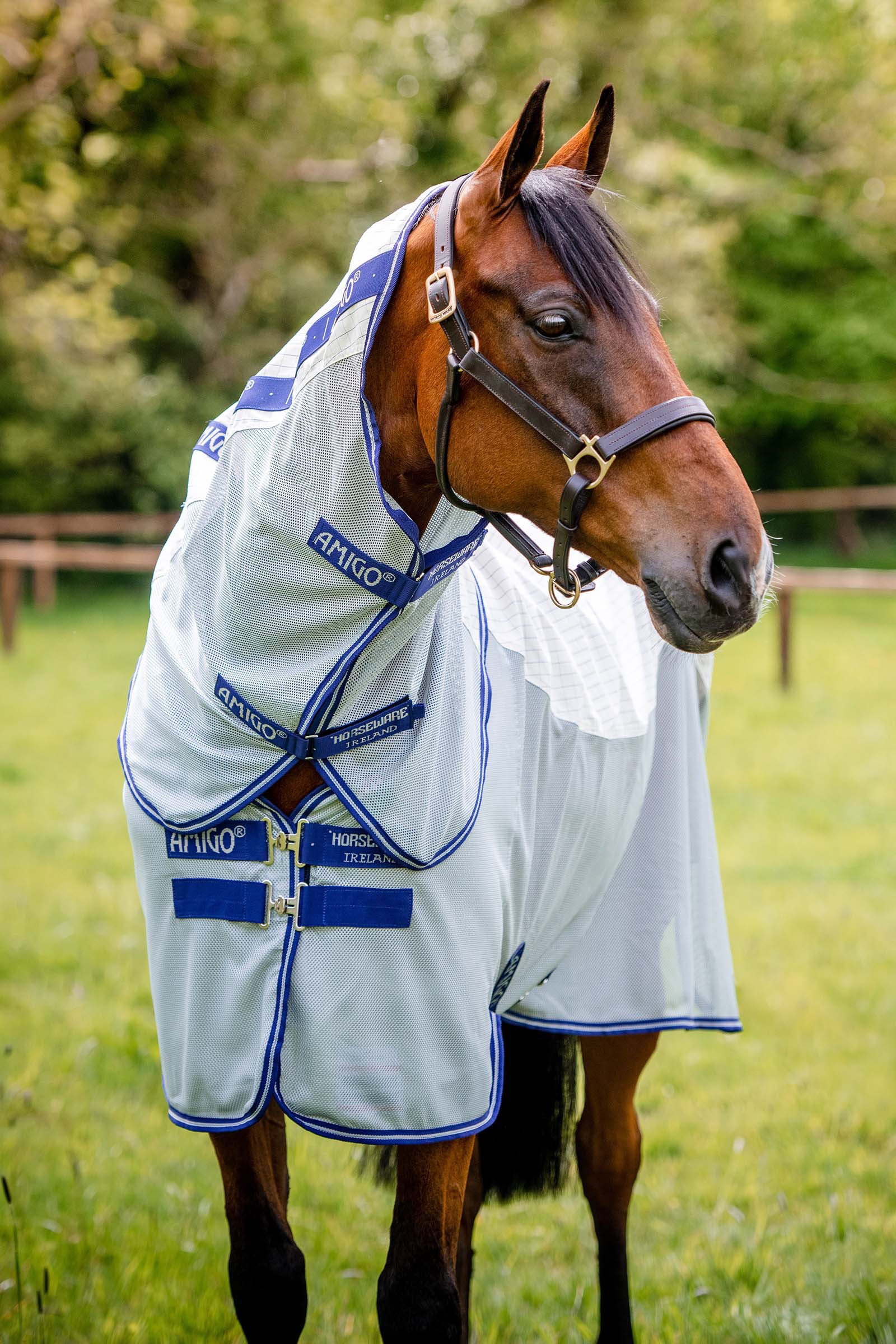 Horseware Amigo Airflow fluet&aelig;ppe med aftagelig halsdel