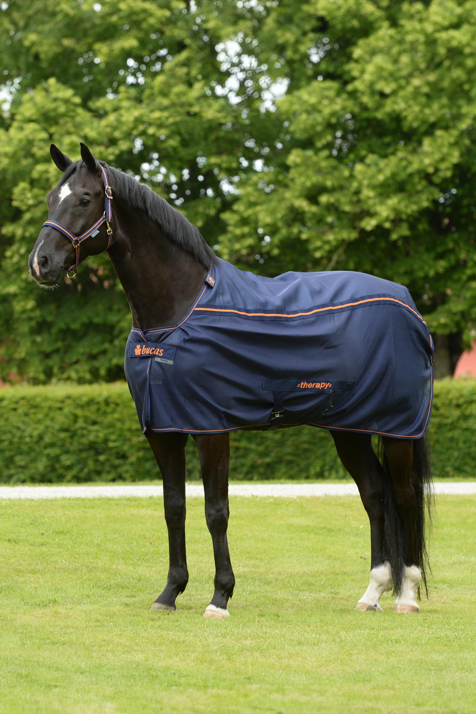Bucas Therapy Mesh Køledækken