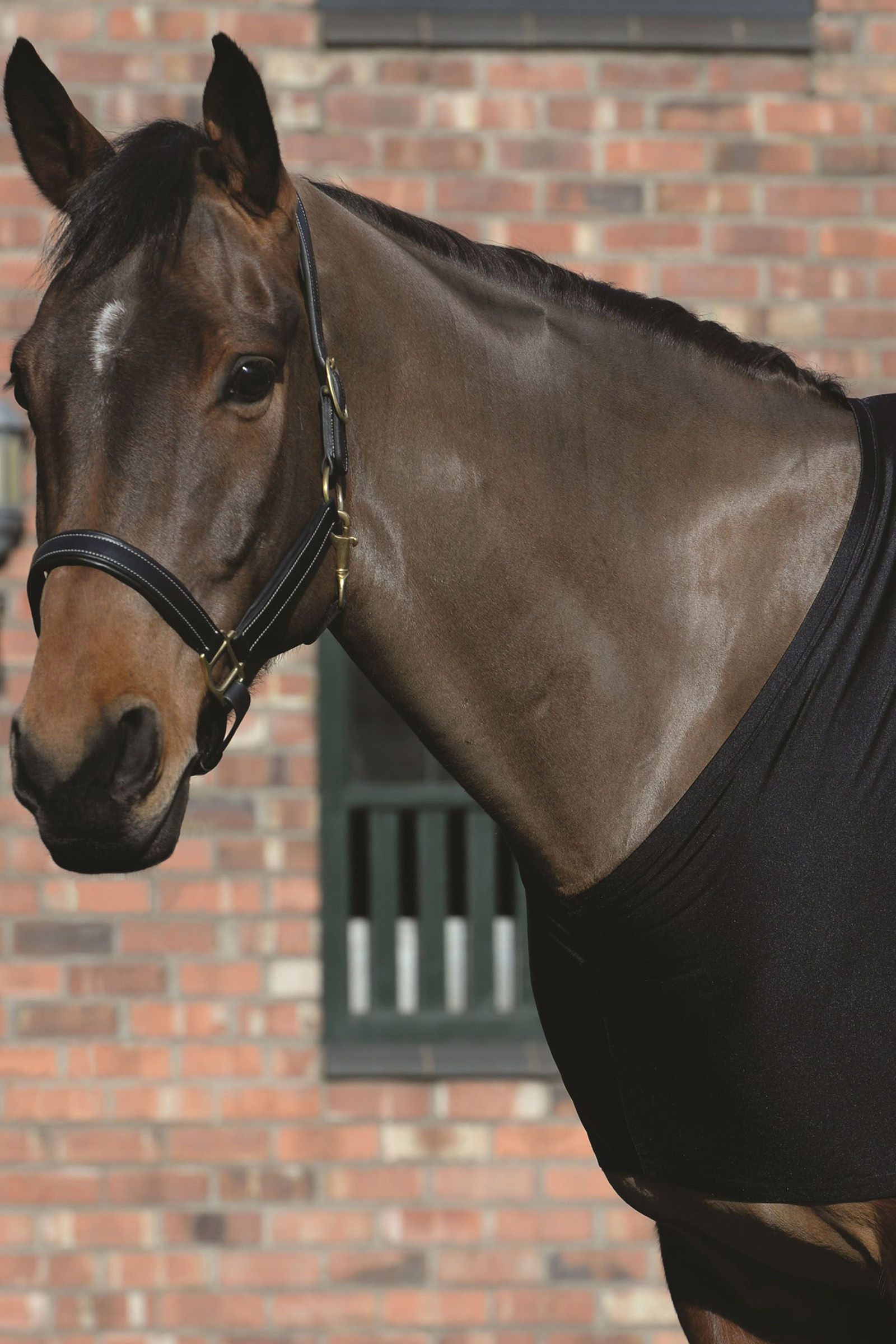 Weatherbeeta stretch skulder-undertrøje.