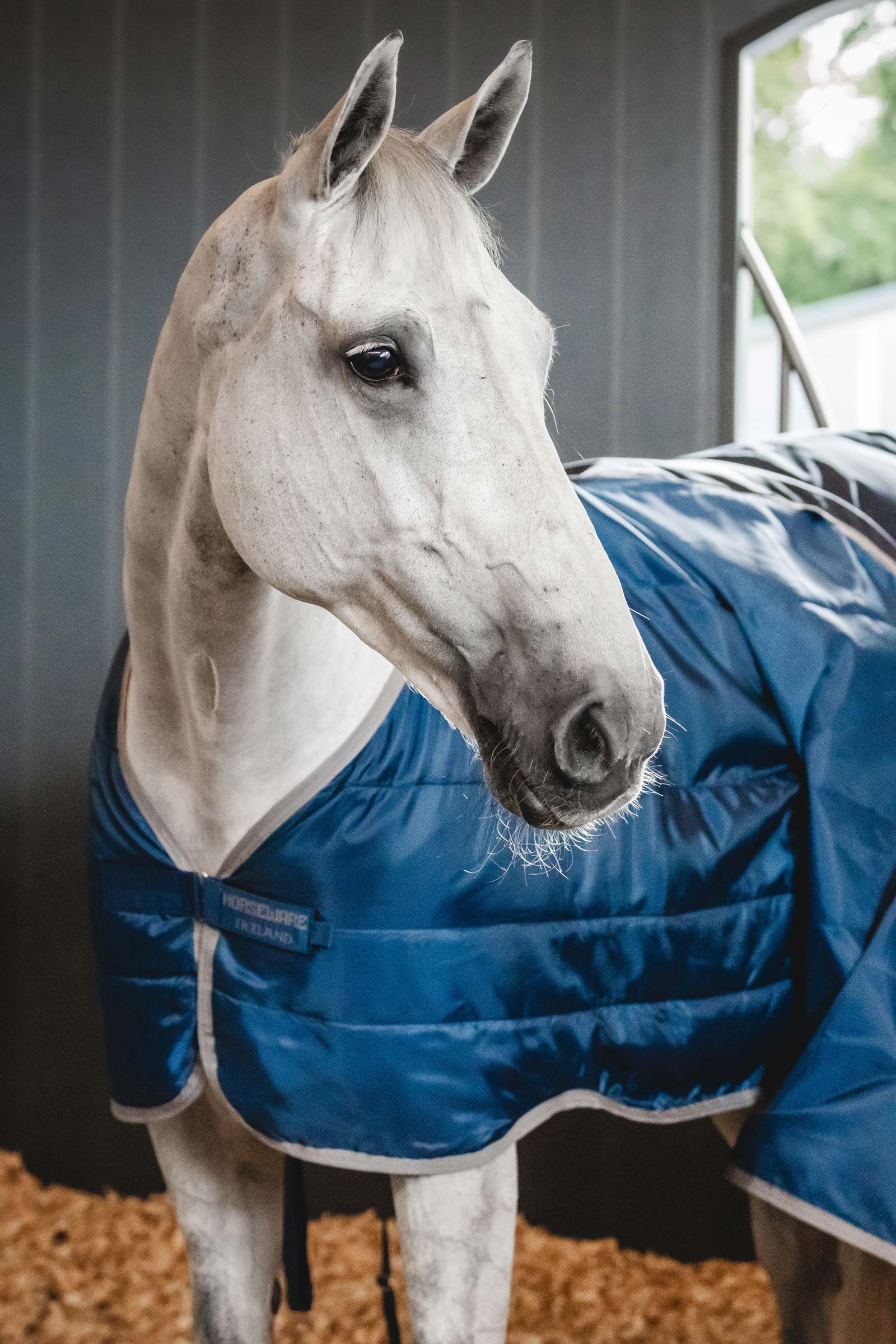 Horseware Ionic Therapy Foring 50g