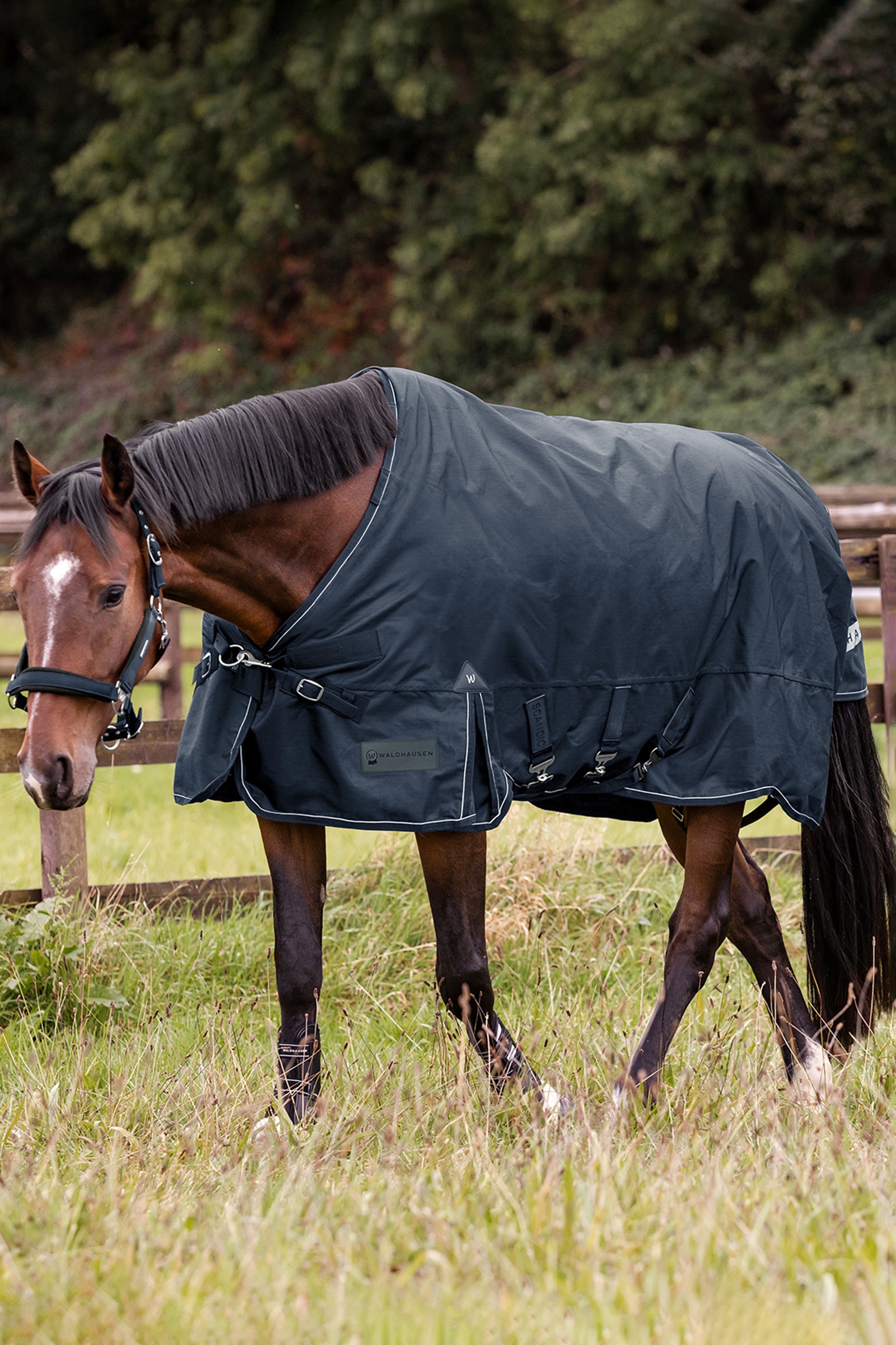 Waldhausen Outdoor Rug Scandic 300 g