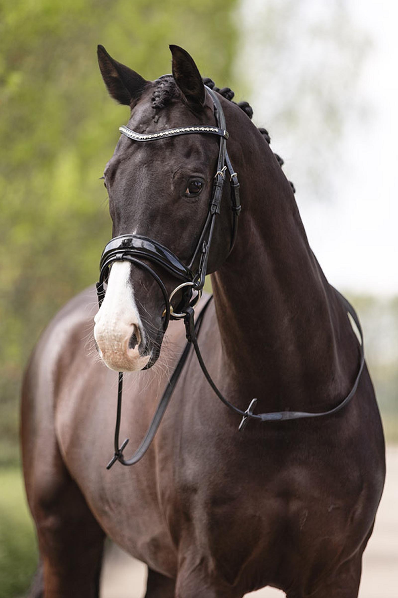 ANKY Anatomic Comfort Fit Trense med Pull Back Dobbelt