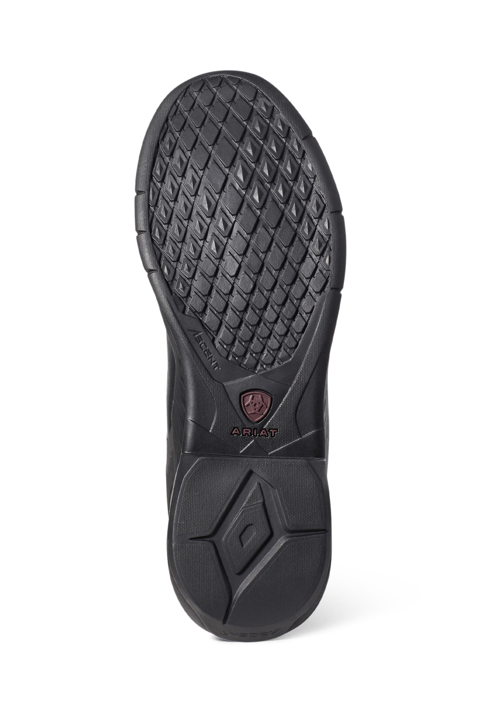 Ariat Ascent Dame h&oslash;je ridest&oslash;vler