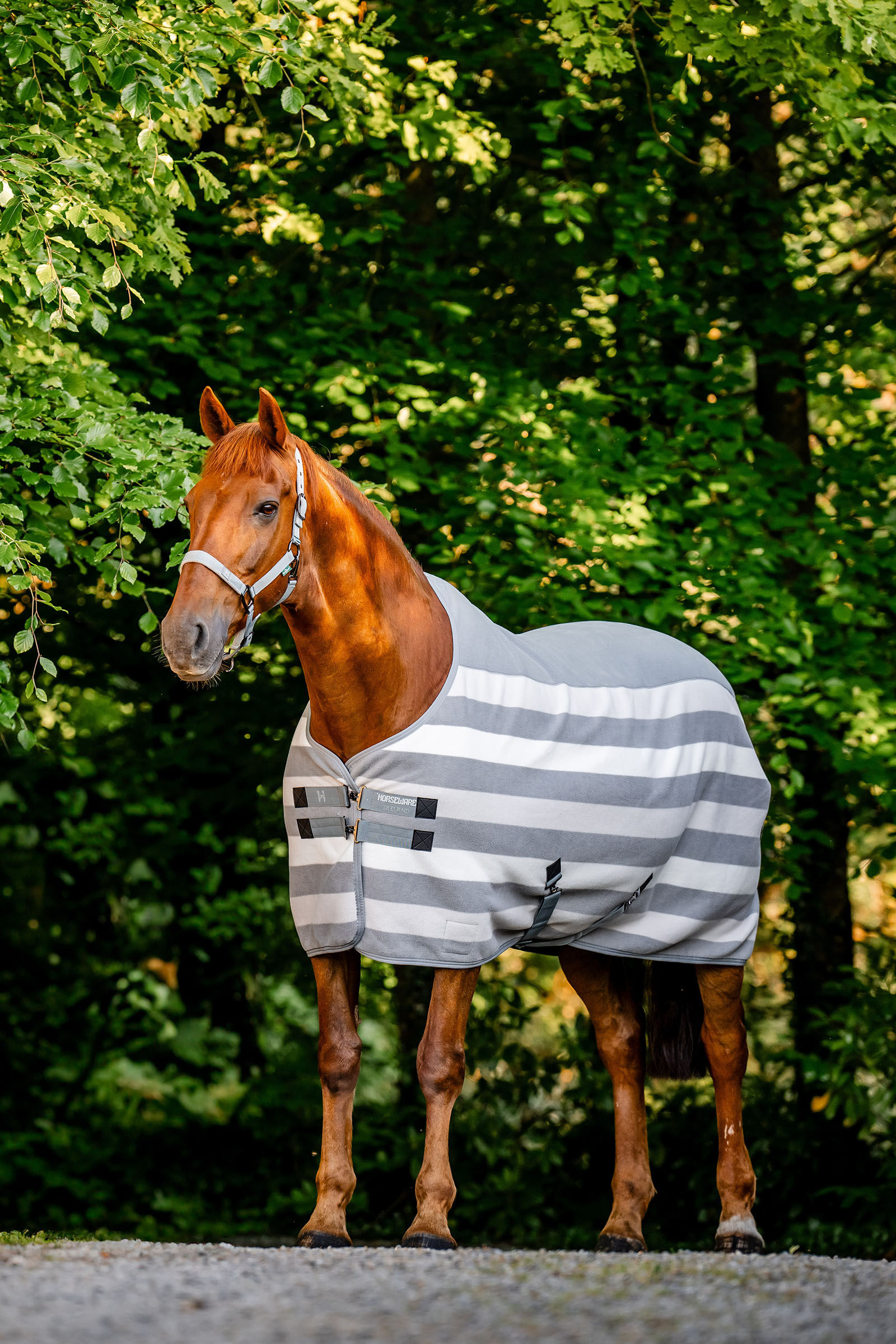 Witney Charcoal Horseware Newmarket Fleece Køledækken