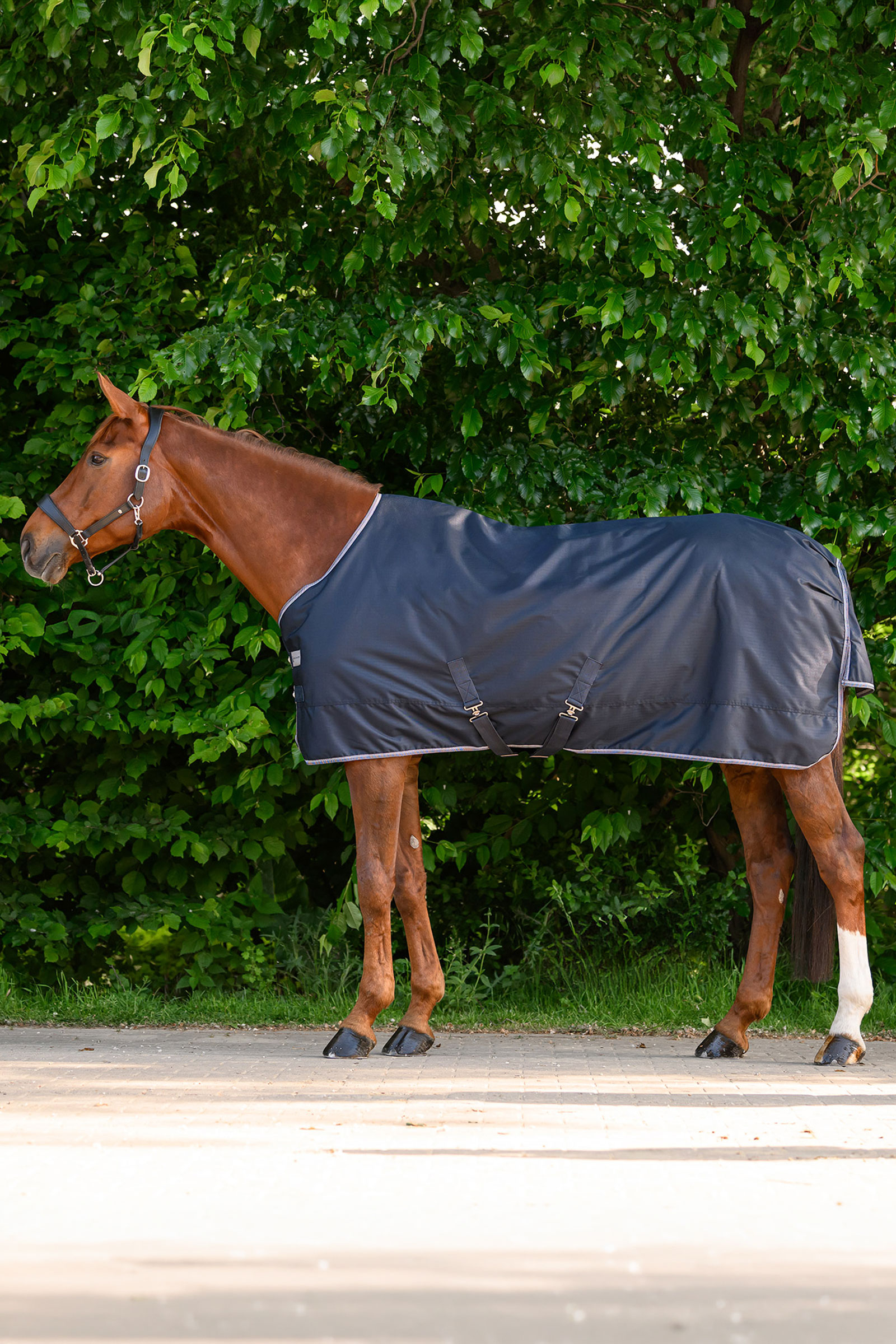 Waldhausen ECONOMIC uded&aelig;kken, 100g