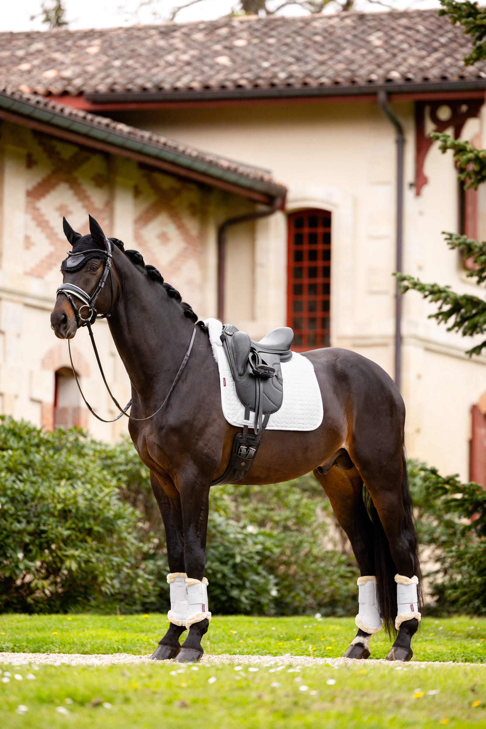 LeMieux Merino+ Dressurunderlag, halvforet