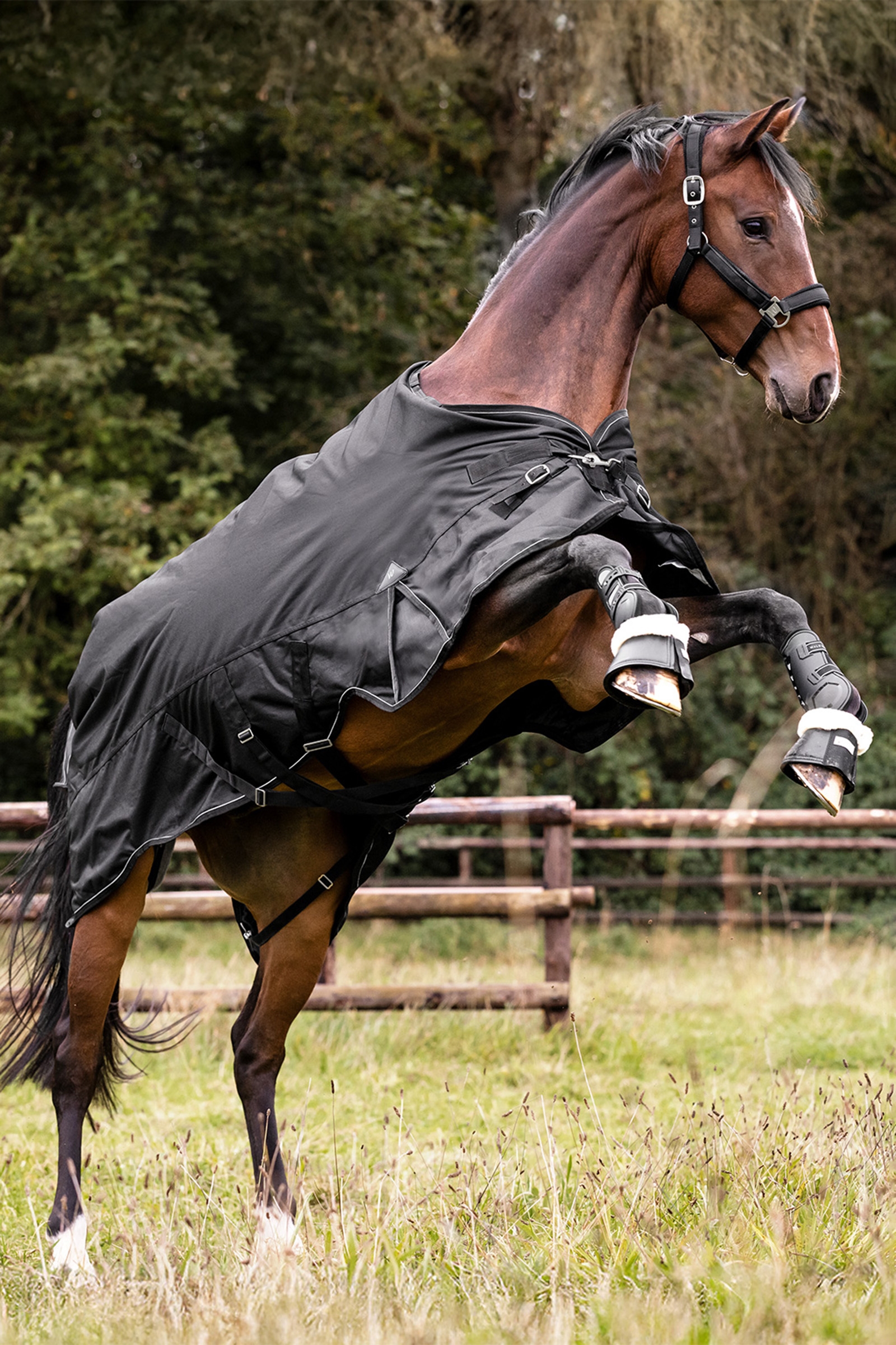 Waldhausen Outdoor Rug Scandic Multi-Layer 150g/50g