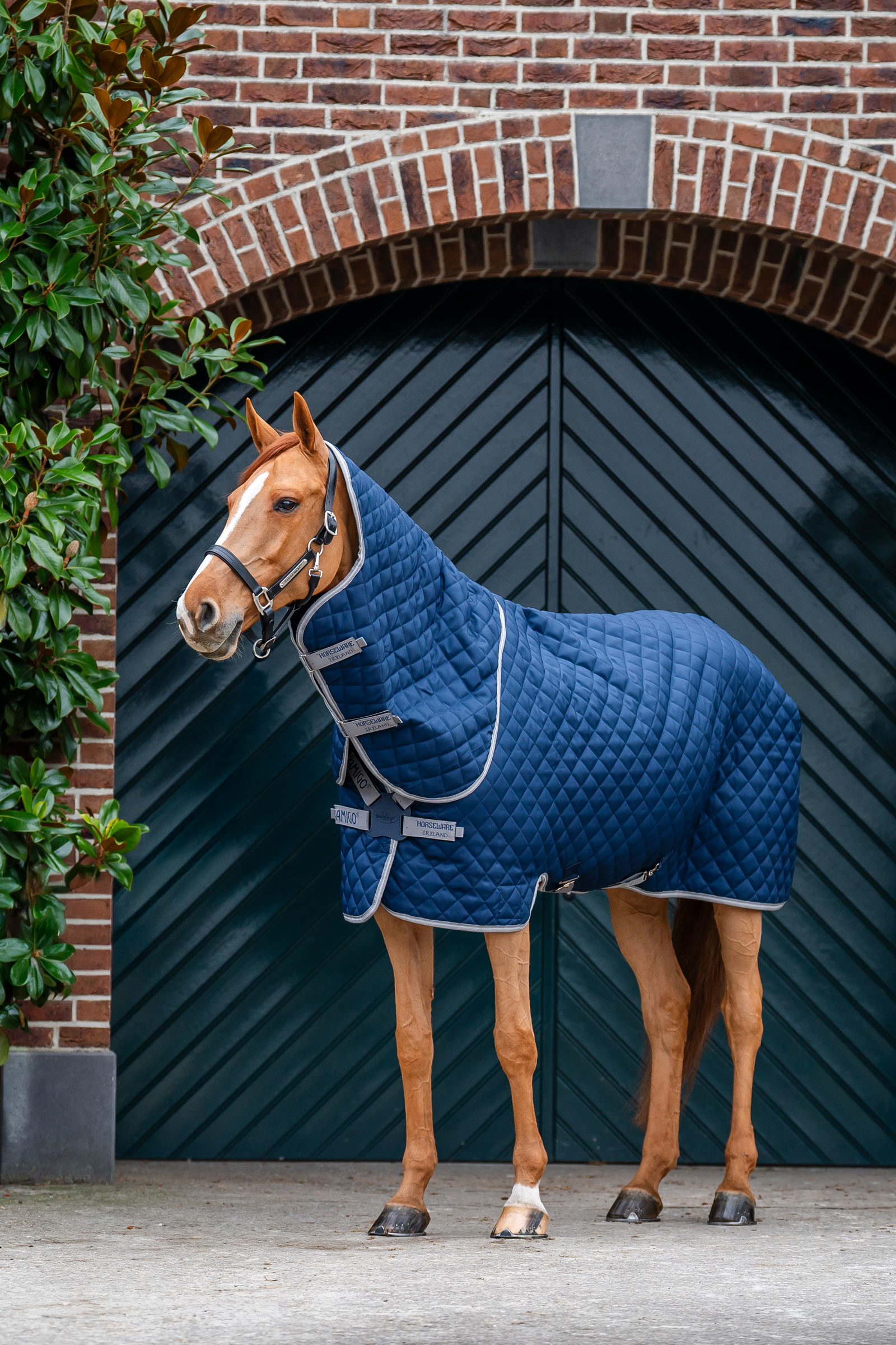 Horseware Amigo quiltet stalddækken Plus, 200 g