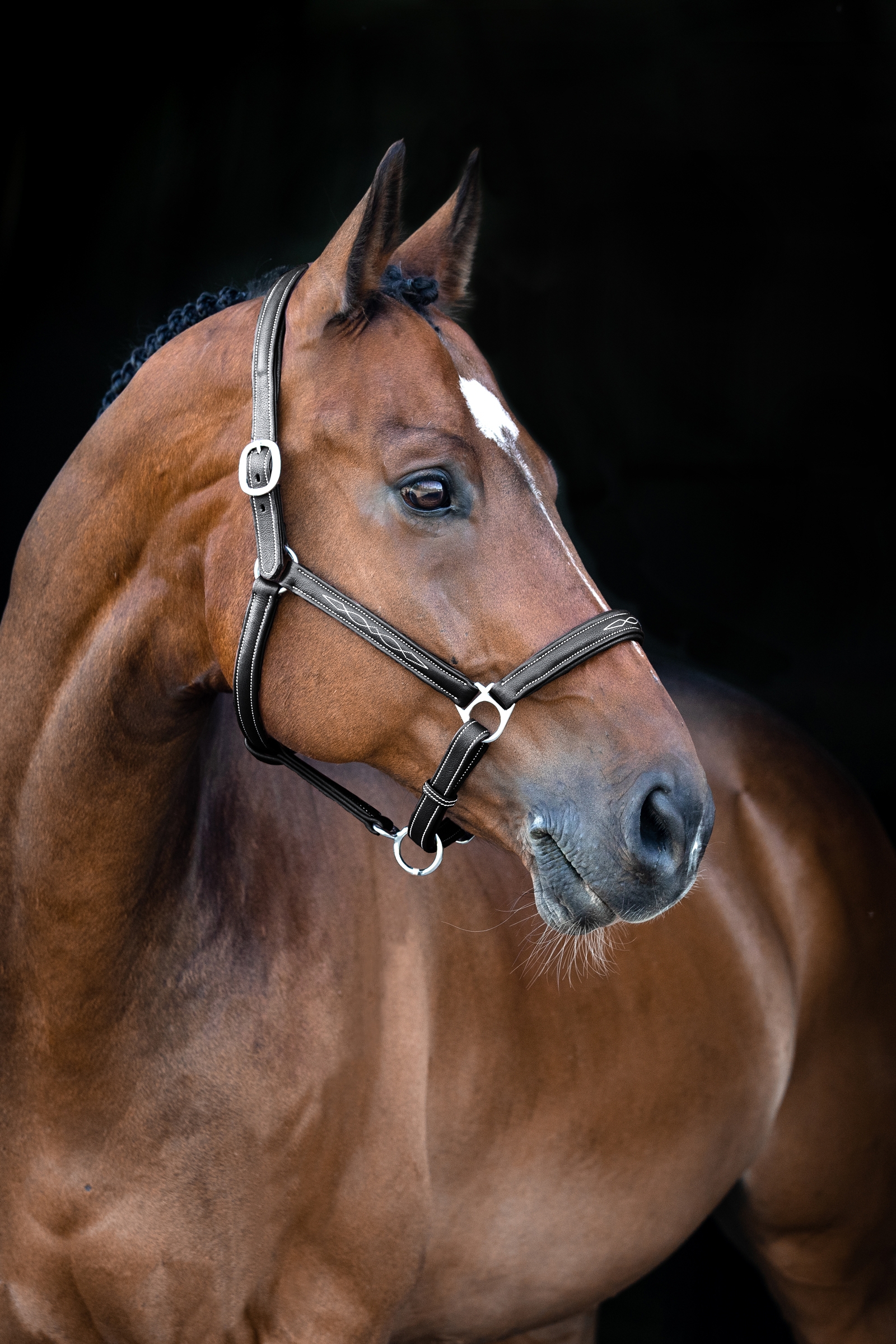 Horze Warren Bl&oslash;d L&aelig;dergrime