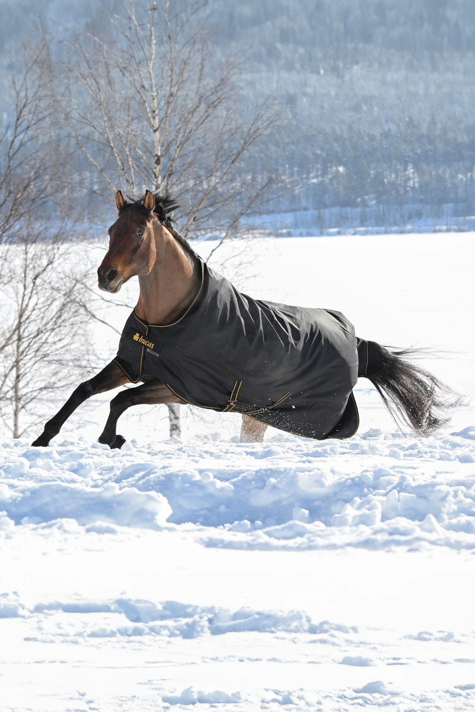 Bucas Irish uded&aelig;kken, 300g