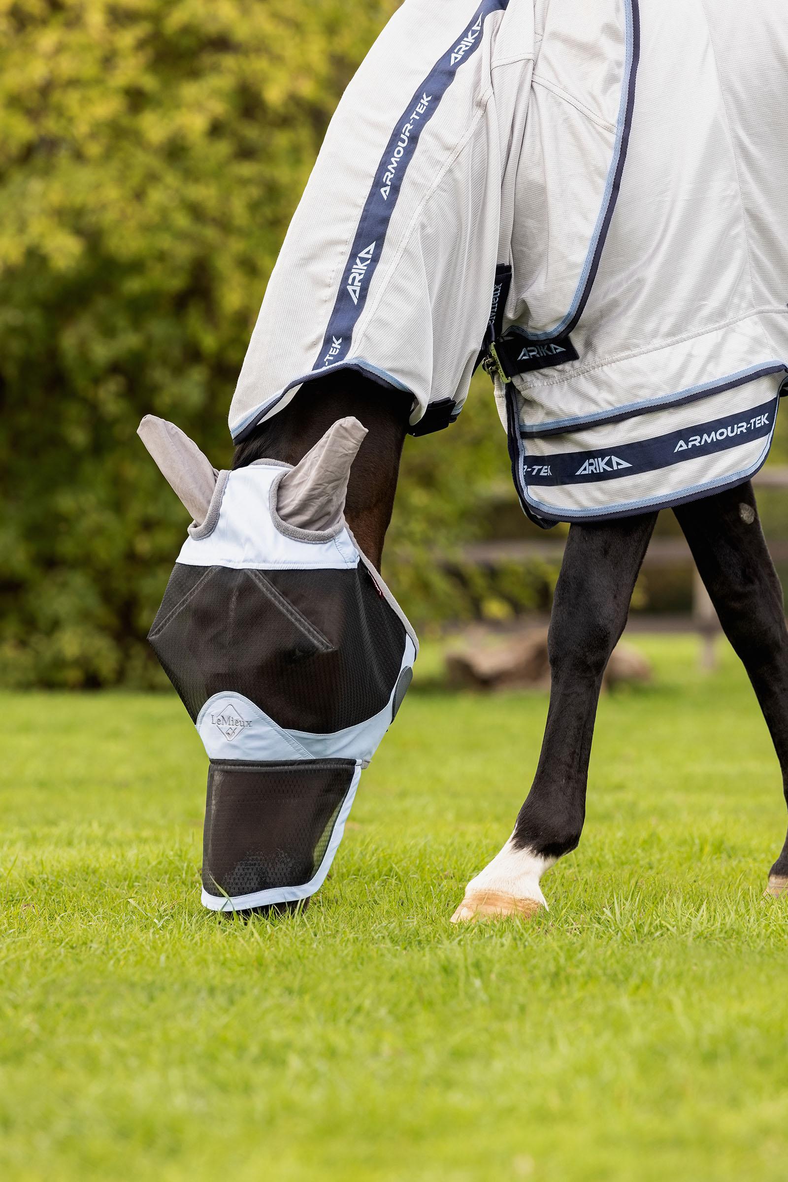 LeMieux Kudos Gladiator fluedækken