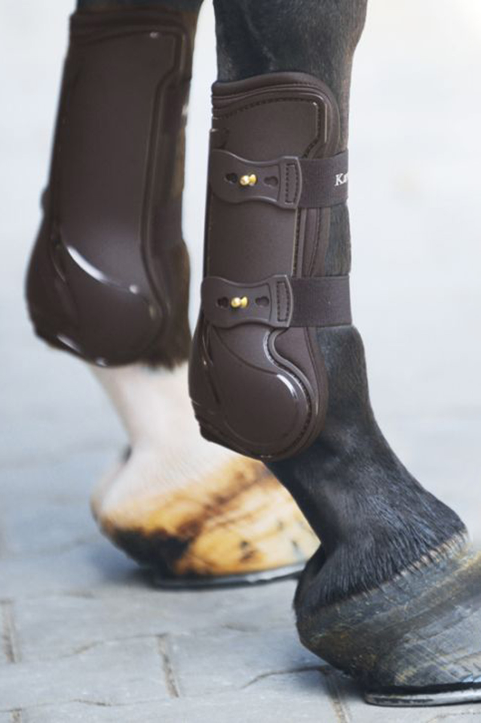 Brown Kavalkade Tendon Boots Compete