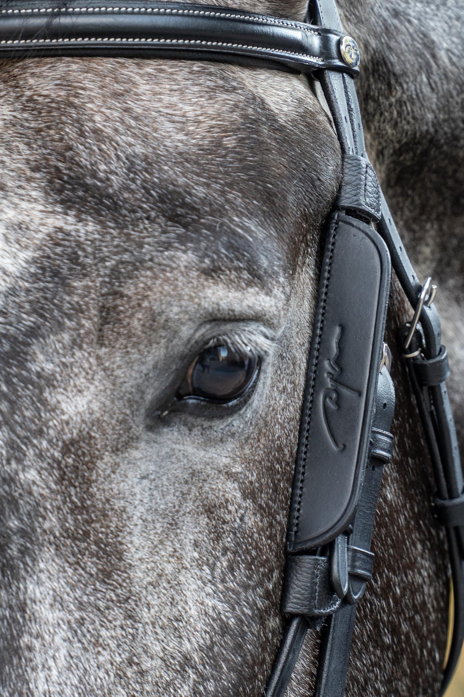 Dy'on Working mini øjeskærme