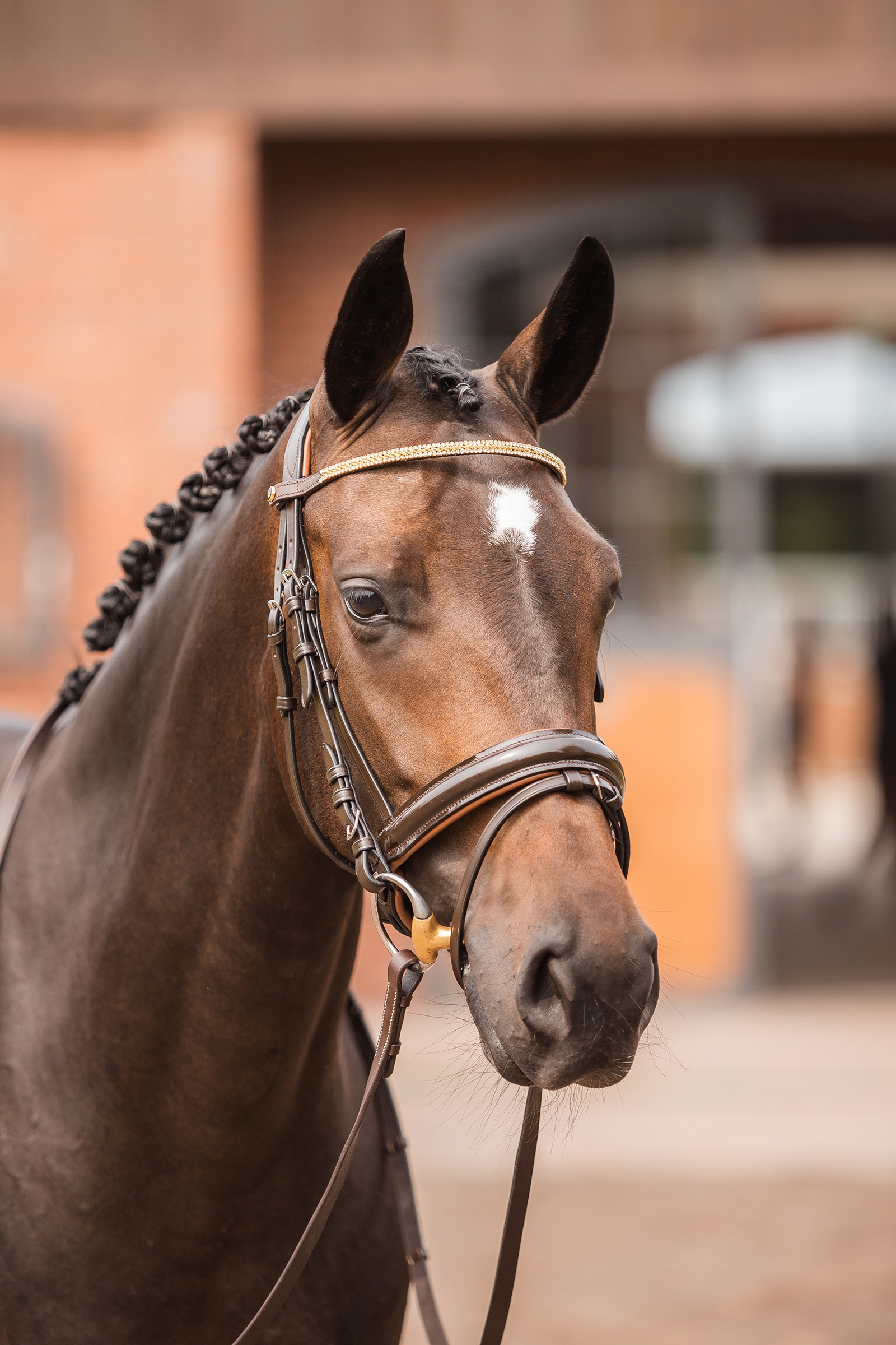 Horze Nancy Crystal & Wire Pandeb&aring;nd