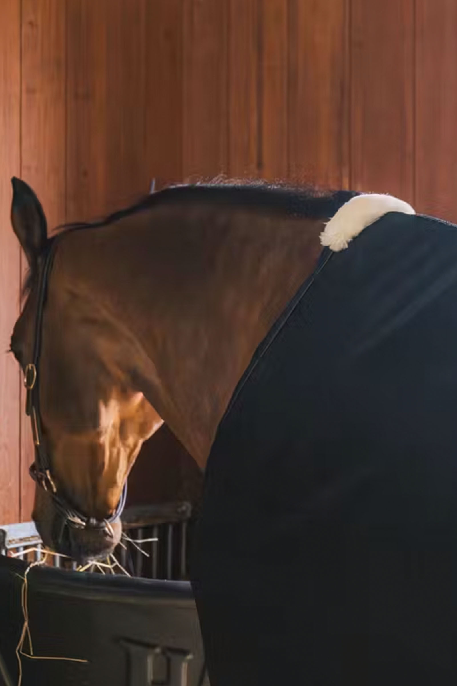 Kentucky Horsewear fluedækken i net