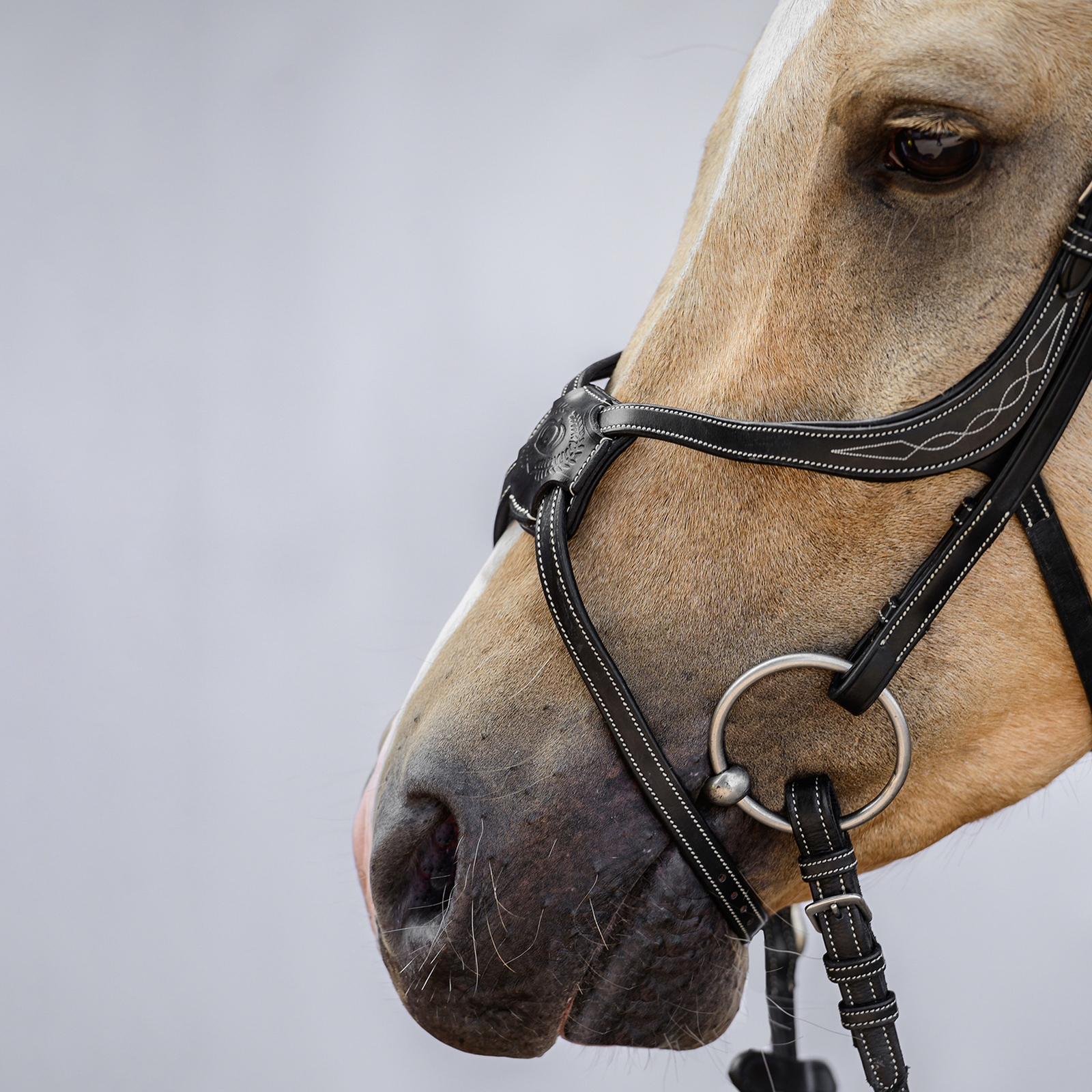 PS of Sweden Athens mexicansk trense