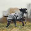 Back on Track Nella All-Round Dog Coat 55-65 cm