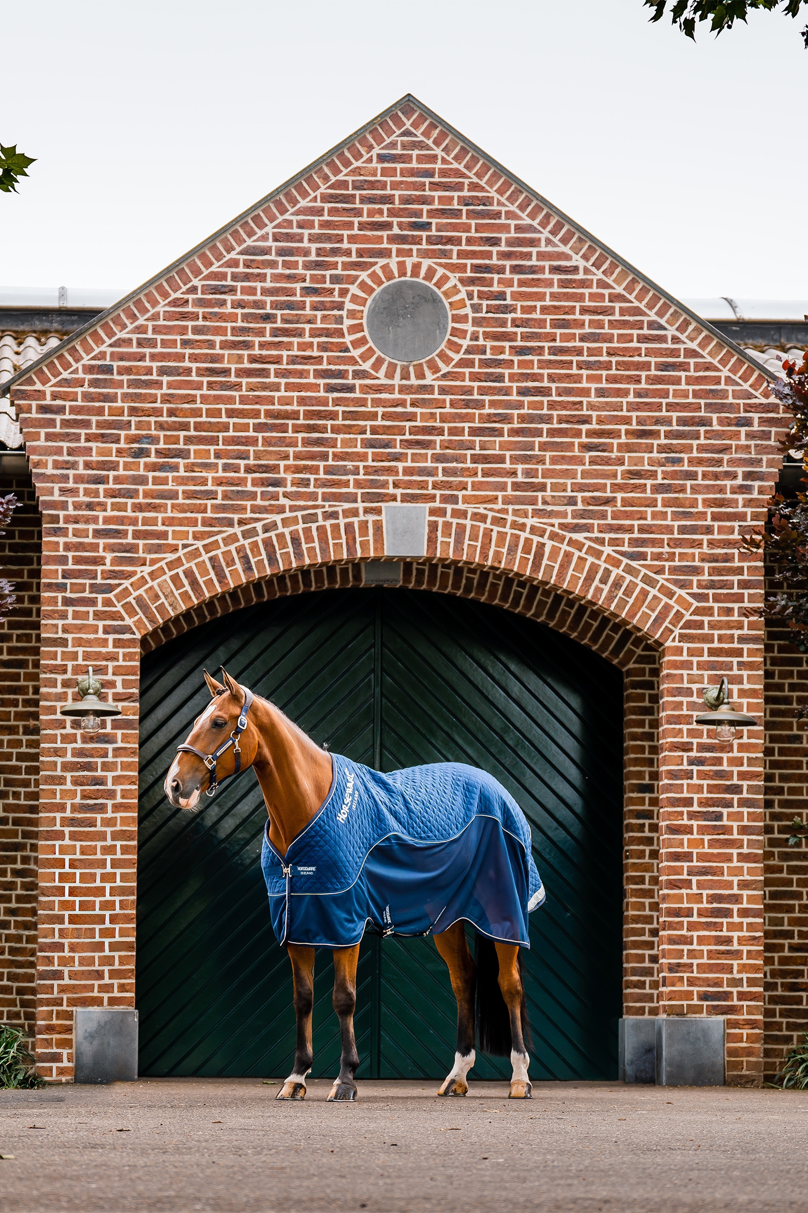 Horseware Signature Transporttæppe, 50g