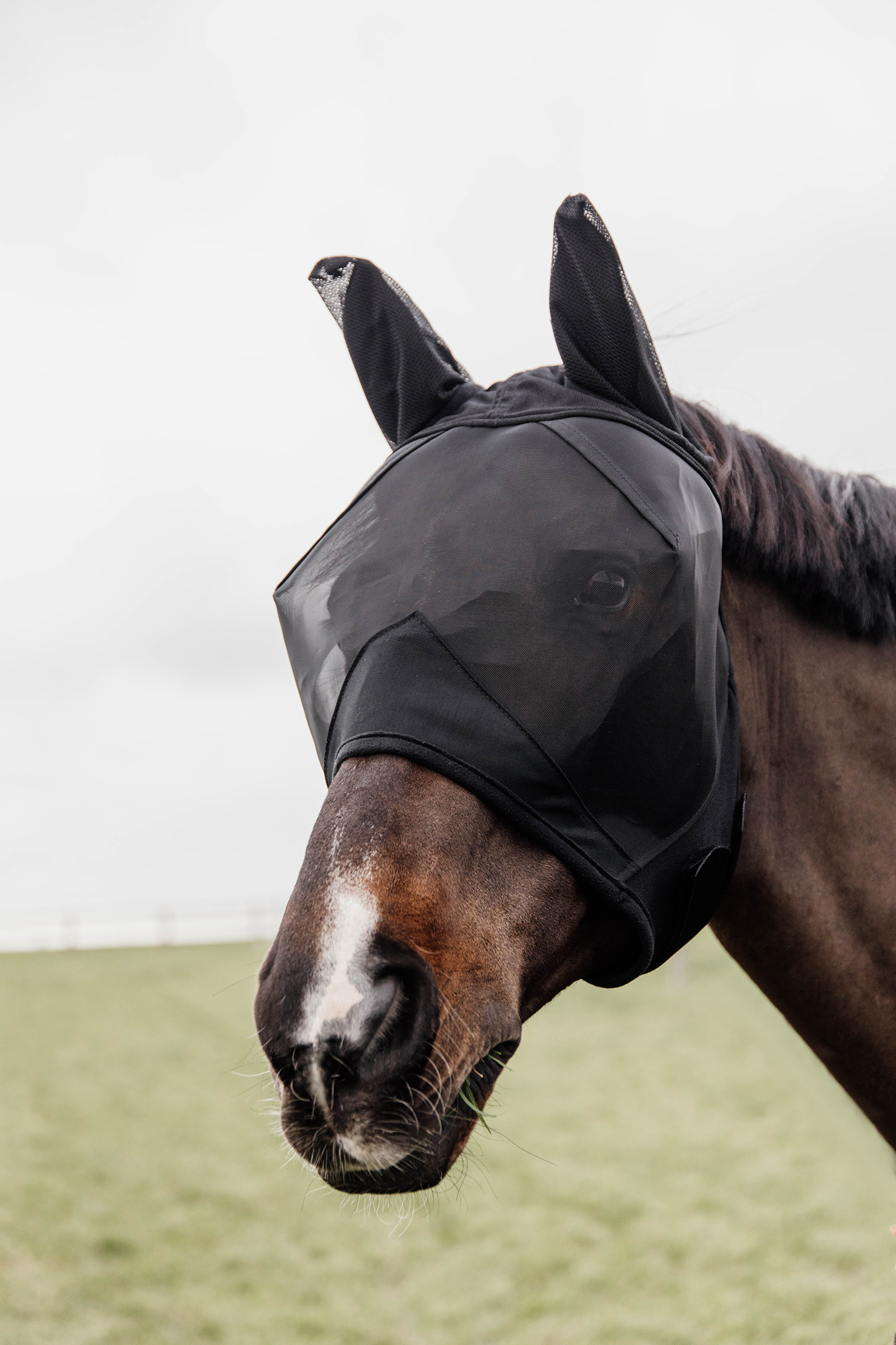 Kentucky Horsewear Classic  Fly Mask with Ears