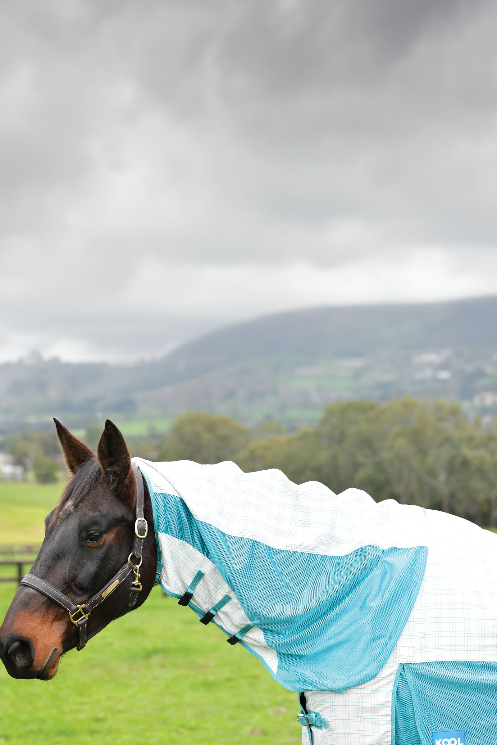 Weatherbeeta Kool Coat Bomuld Airstream Ii Detach-A-Neck