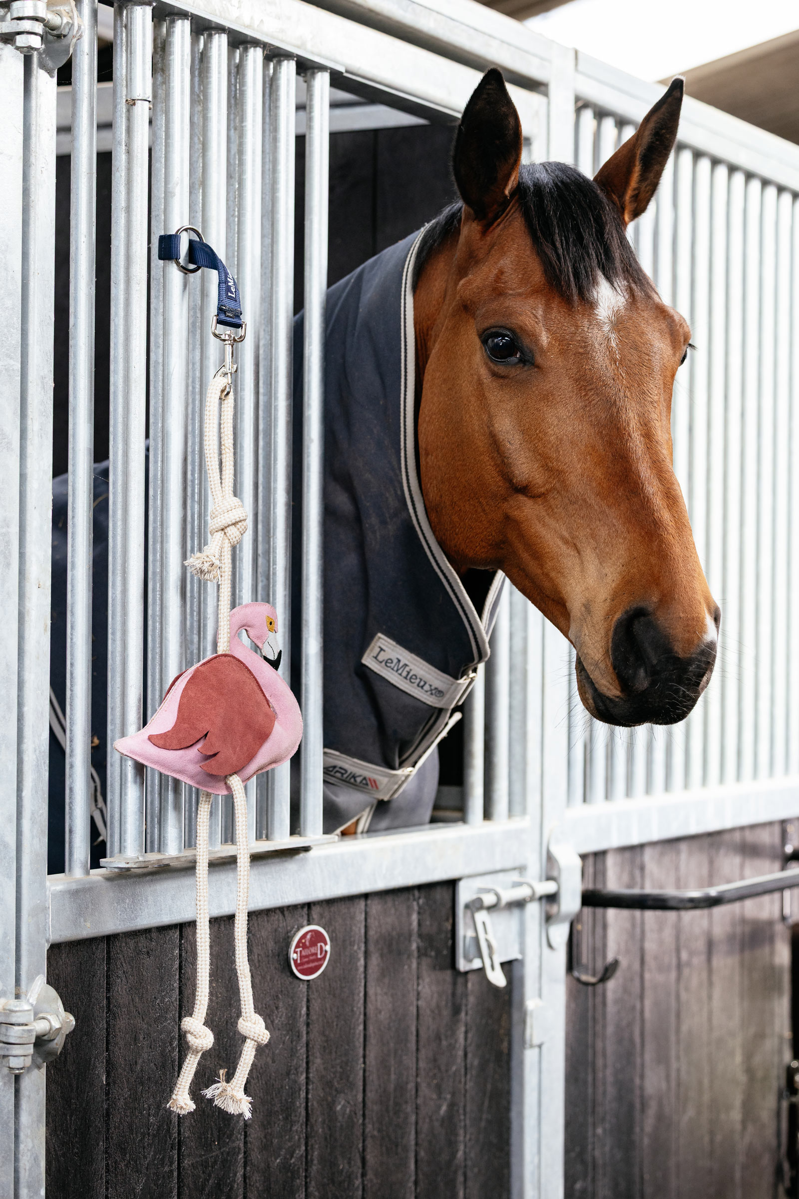 LeMieux hestelegetøj flamingo