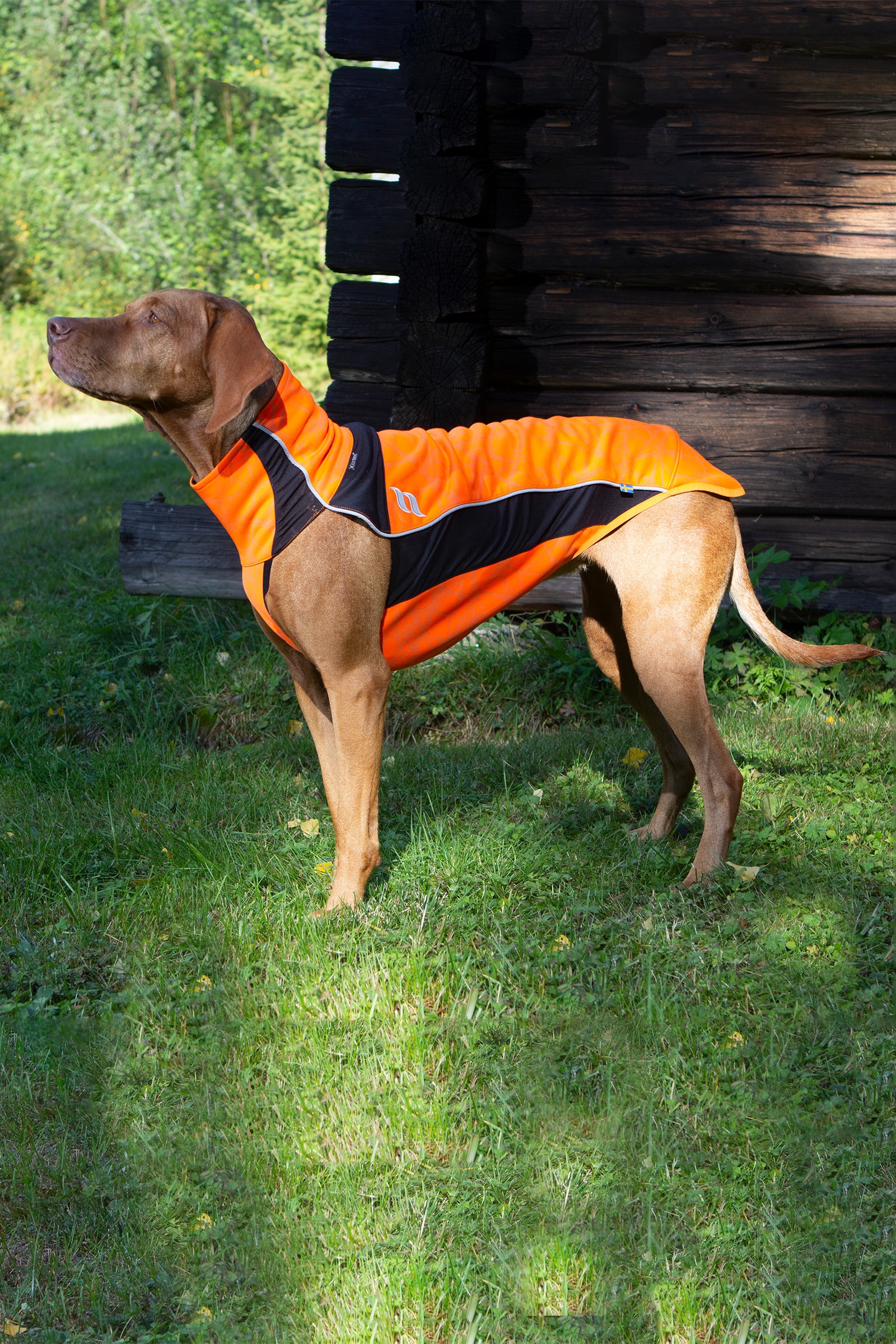 Back on Track Eddie High-Visibility Hundtr&ouml;ja, 60-70cm