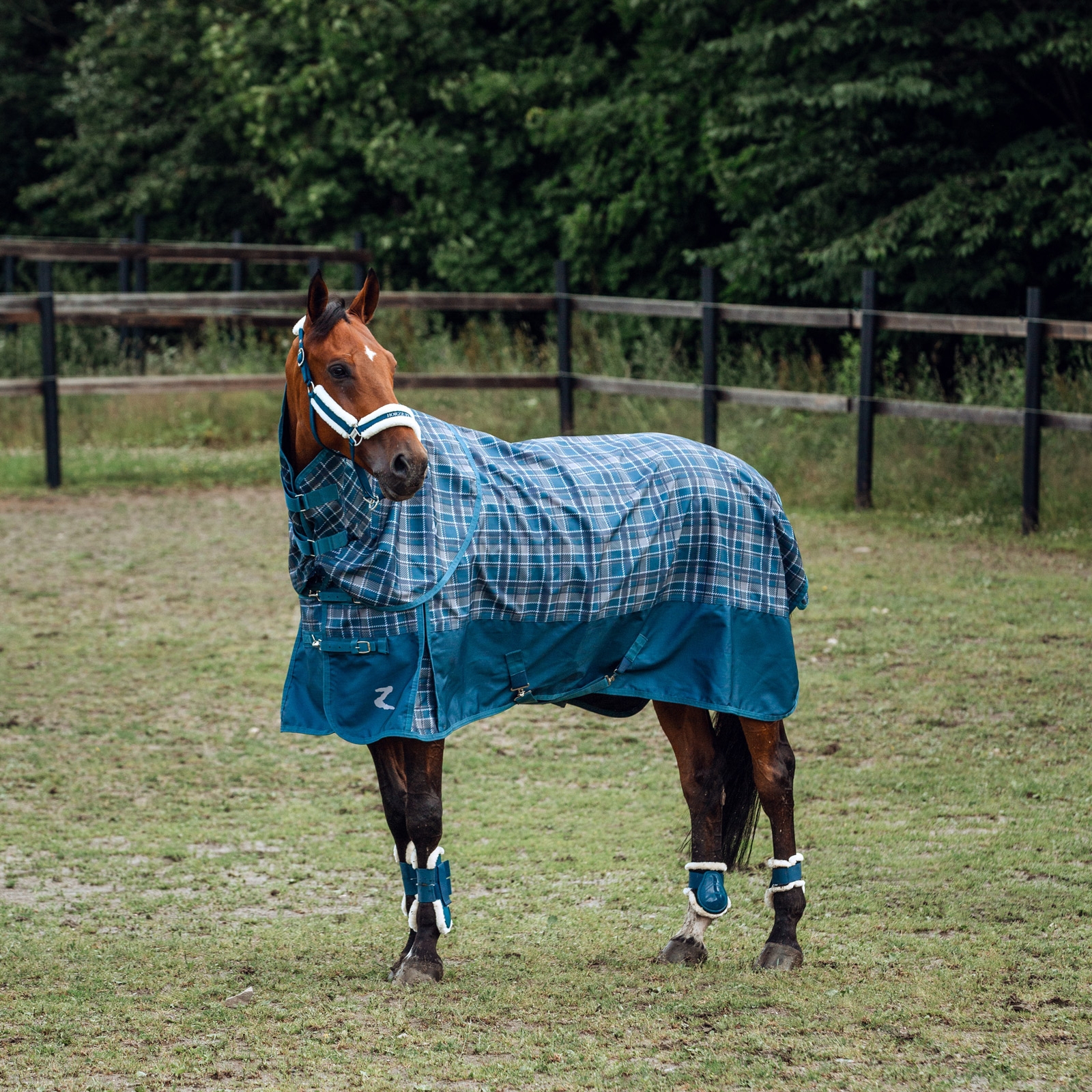 Horze Caliber gamacher med lammeskind