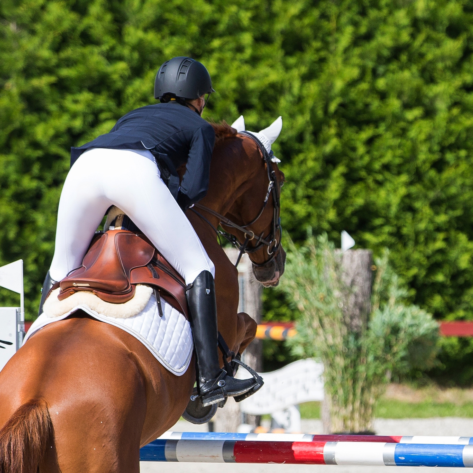 Horze Winslow ridestøvler, ægte læder