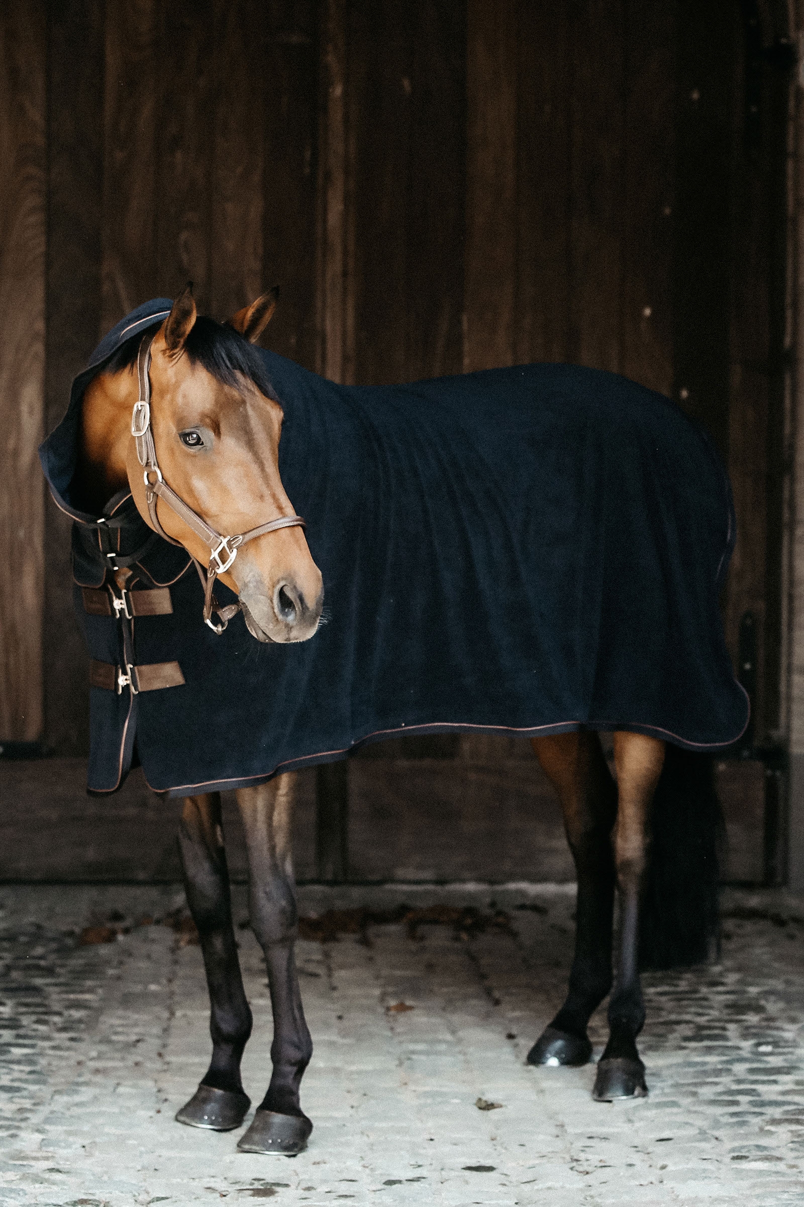 Kentucky Horsewear Towel dækken