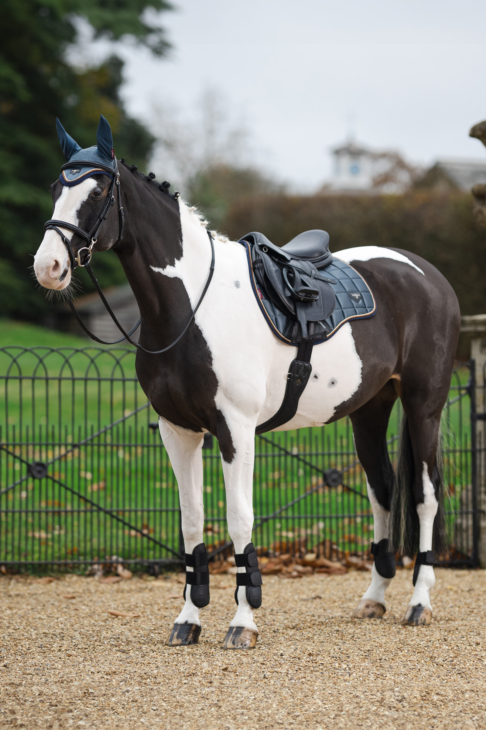 LeMieux Loire Classic Square allround underlag