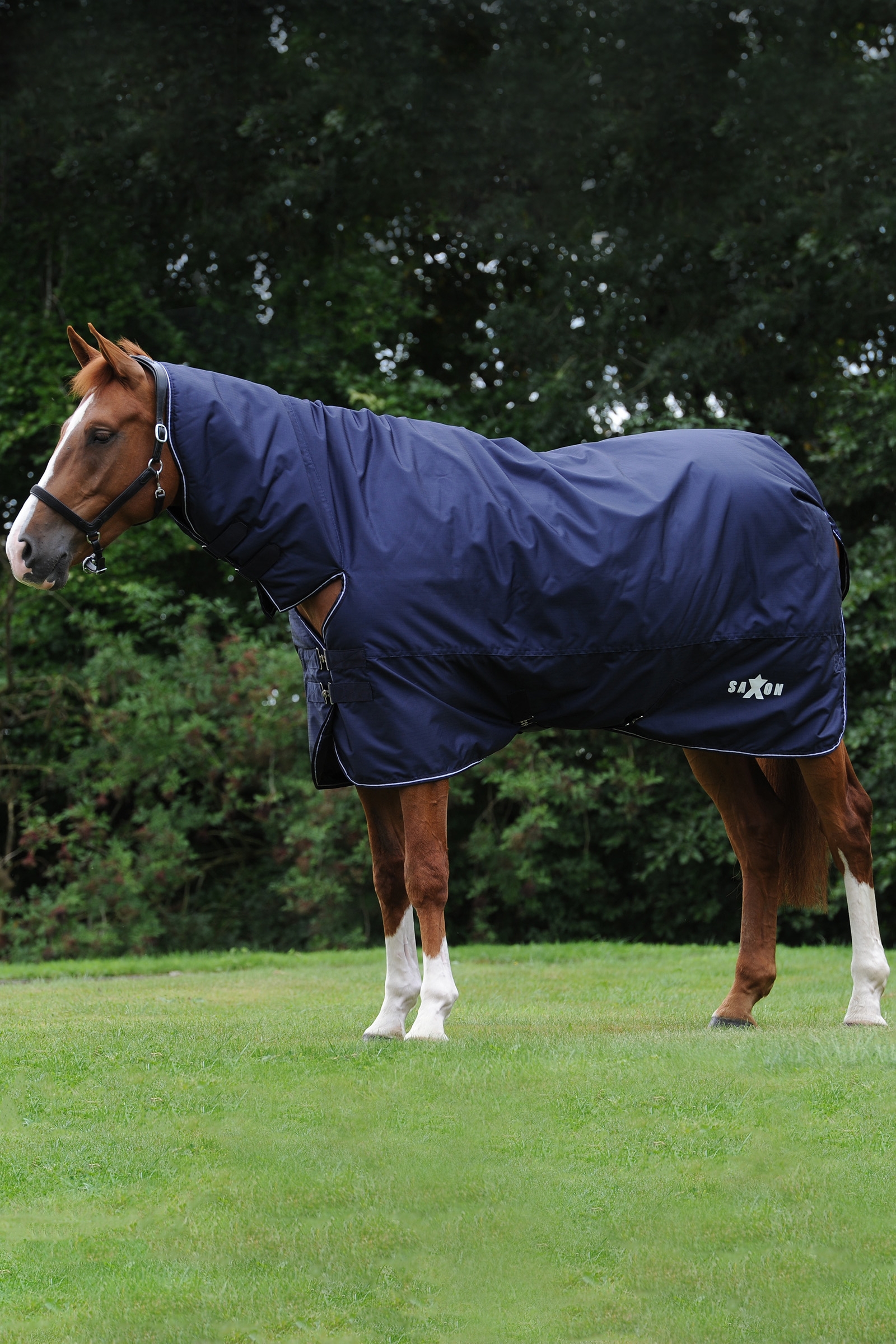 Saxon Defiant 600D Combo Neck Heavy Turnout Rug, 300g