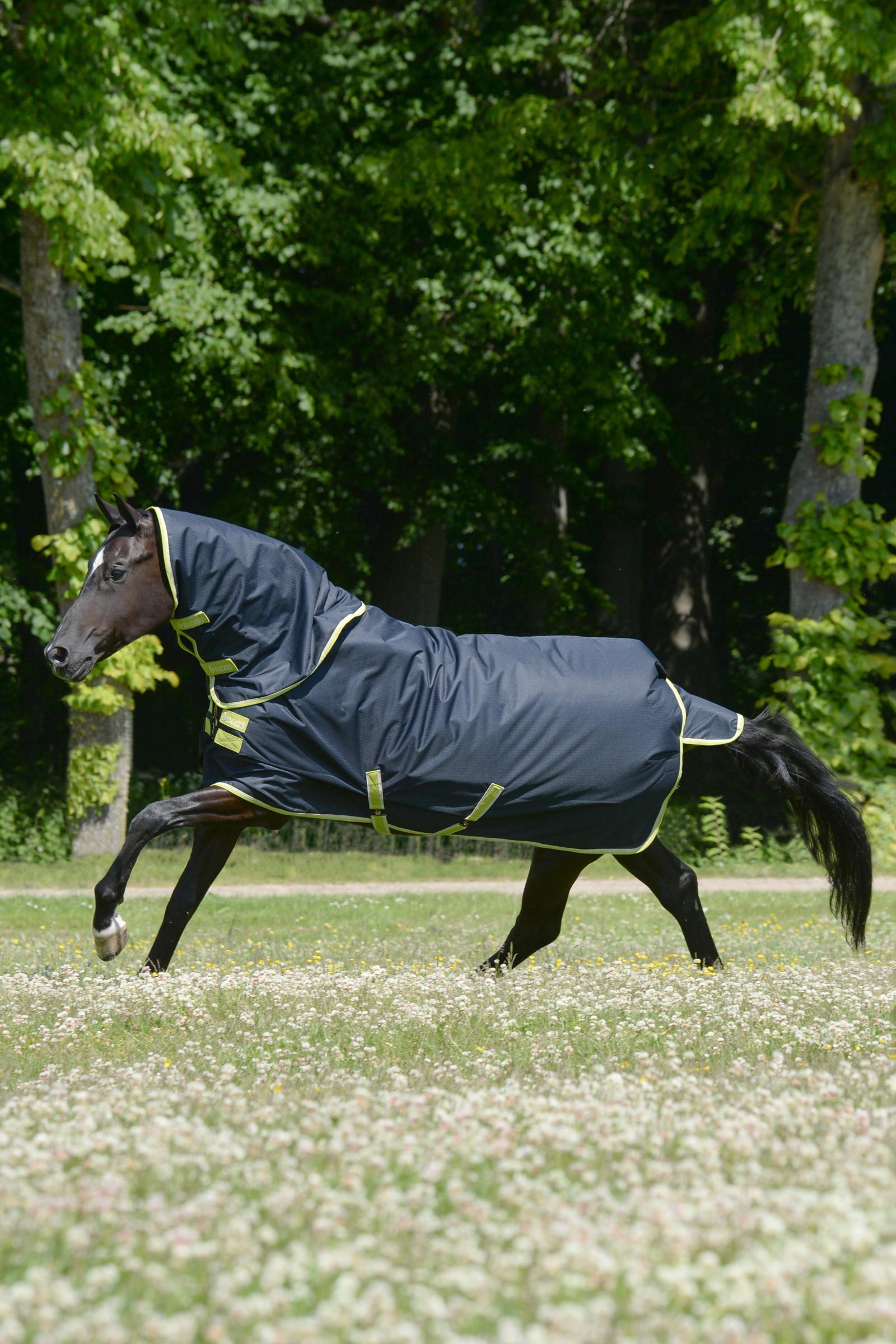 Bucas Oasis udedækken + halsstykke, 100g