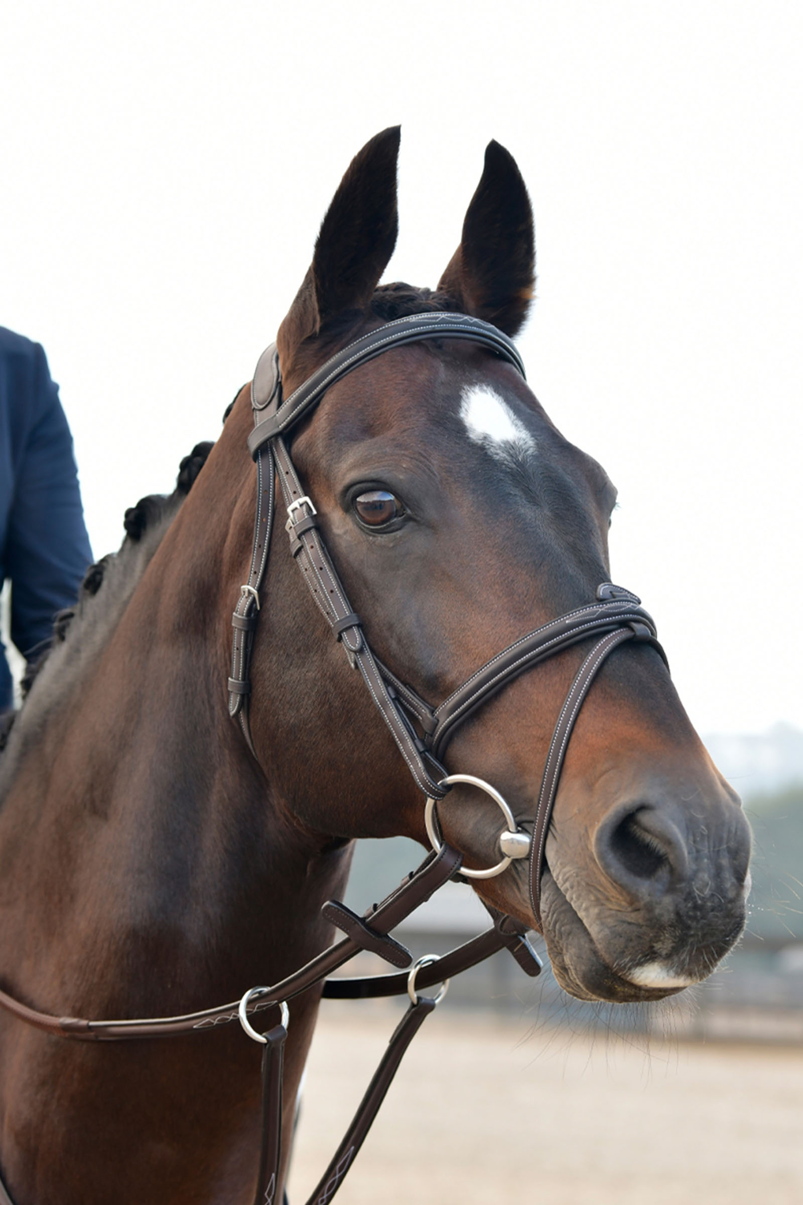 Collegiate Comfitec Opulux Fancy Stitch polstret hannoveransk trense