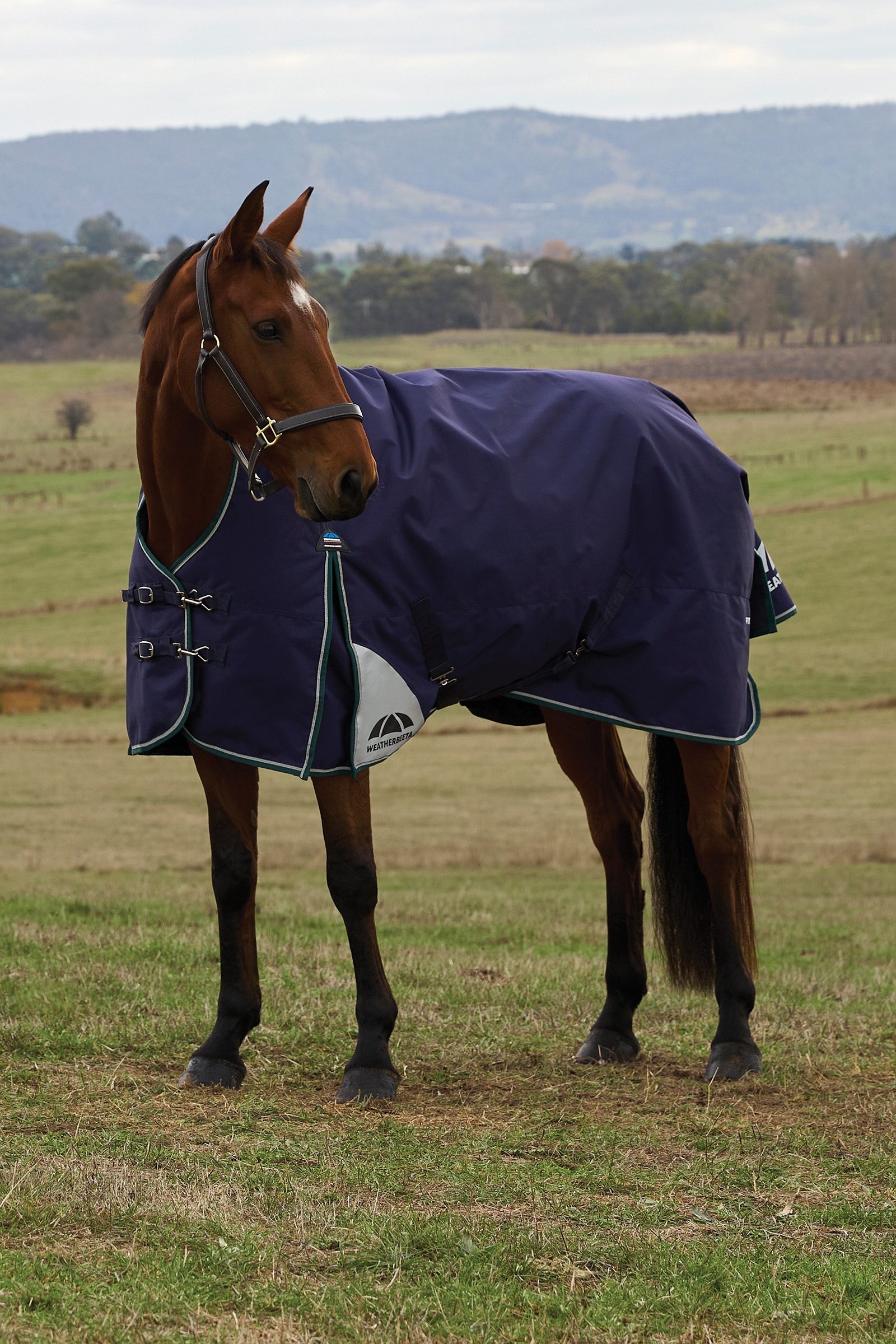Weatherbeeta ComFiTecPlus Dynamisk Turnout med h&oslash;j hals 100 g