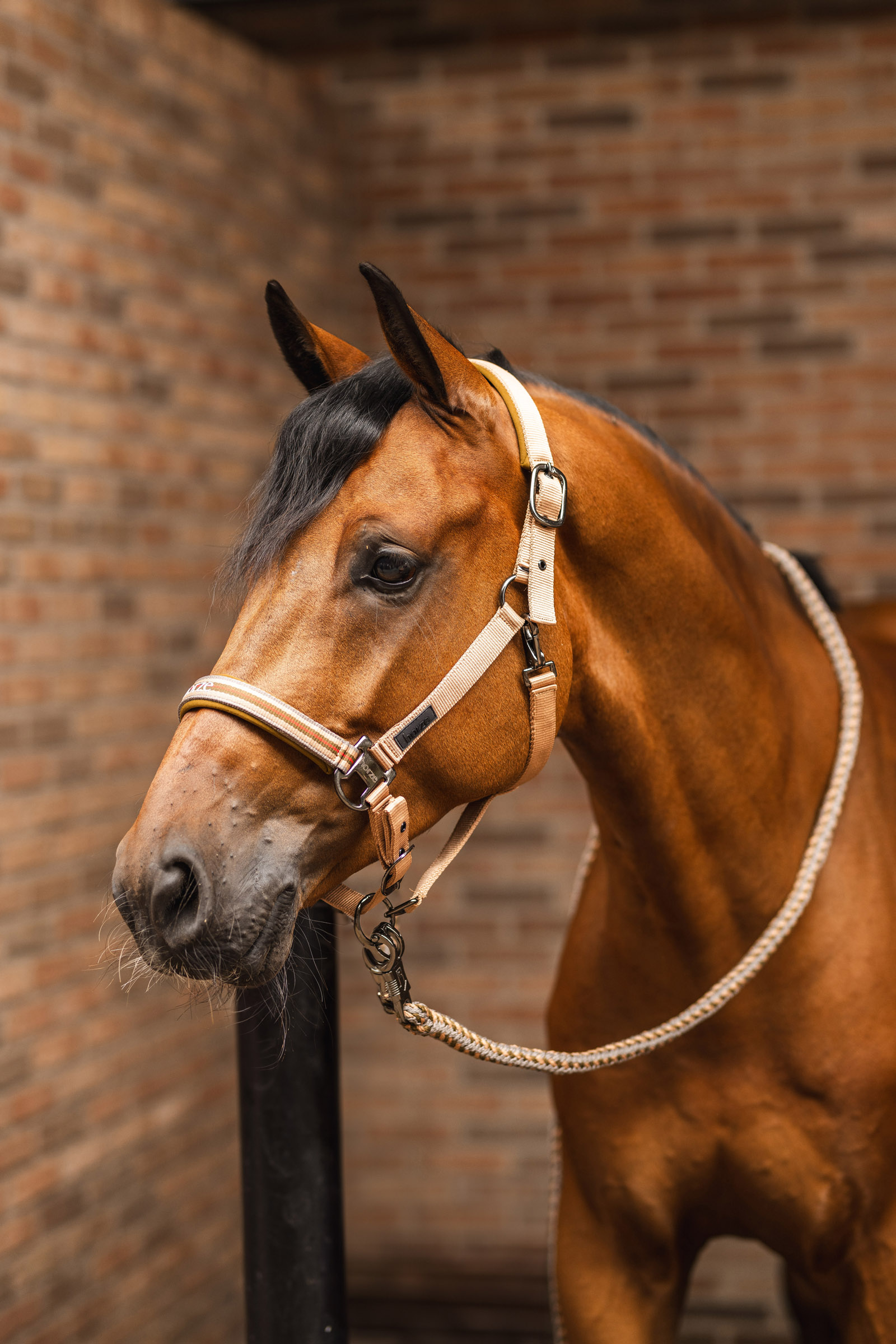 Horze High Life Træktov med panikhage