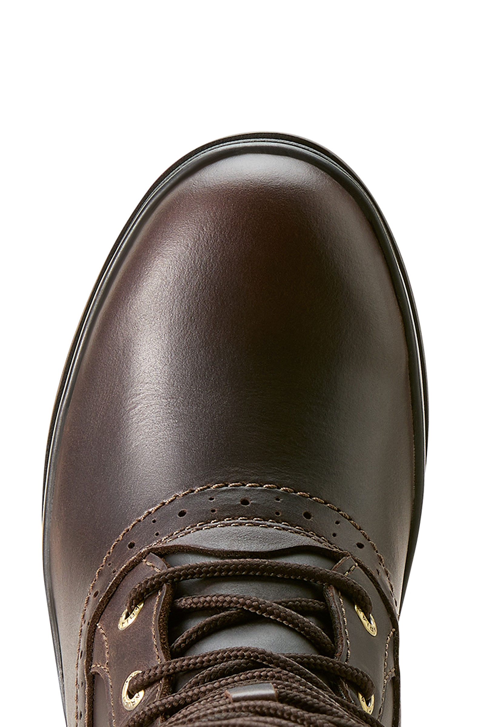 Ariat Wythburn II Sherpa Vandtætte Støvler